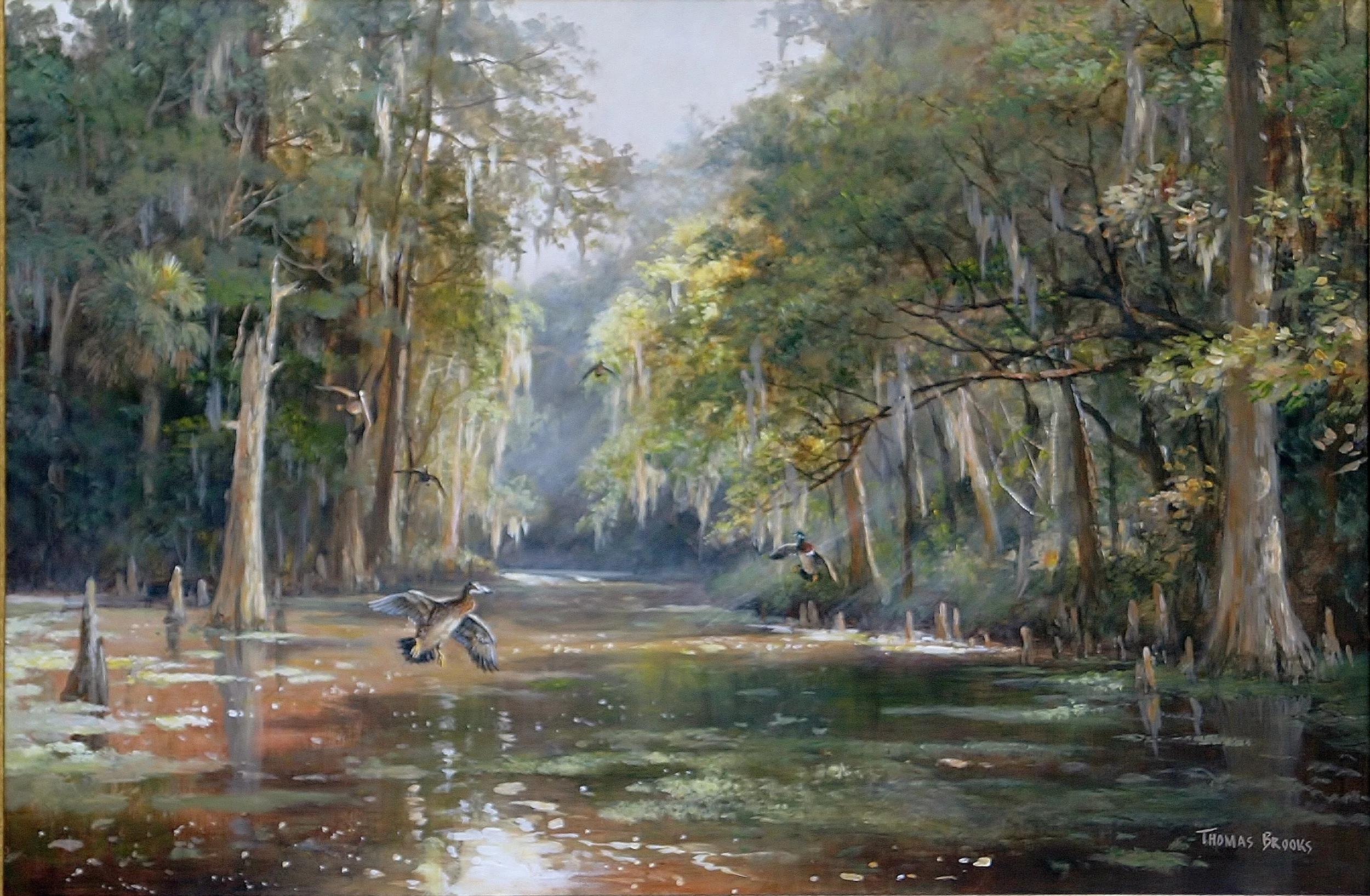 Swamp River Woodies 20"x30"