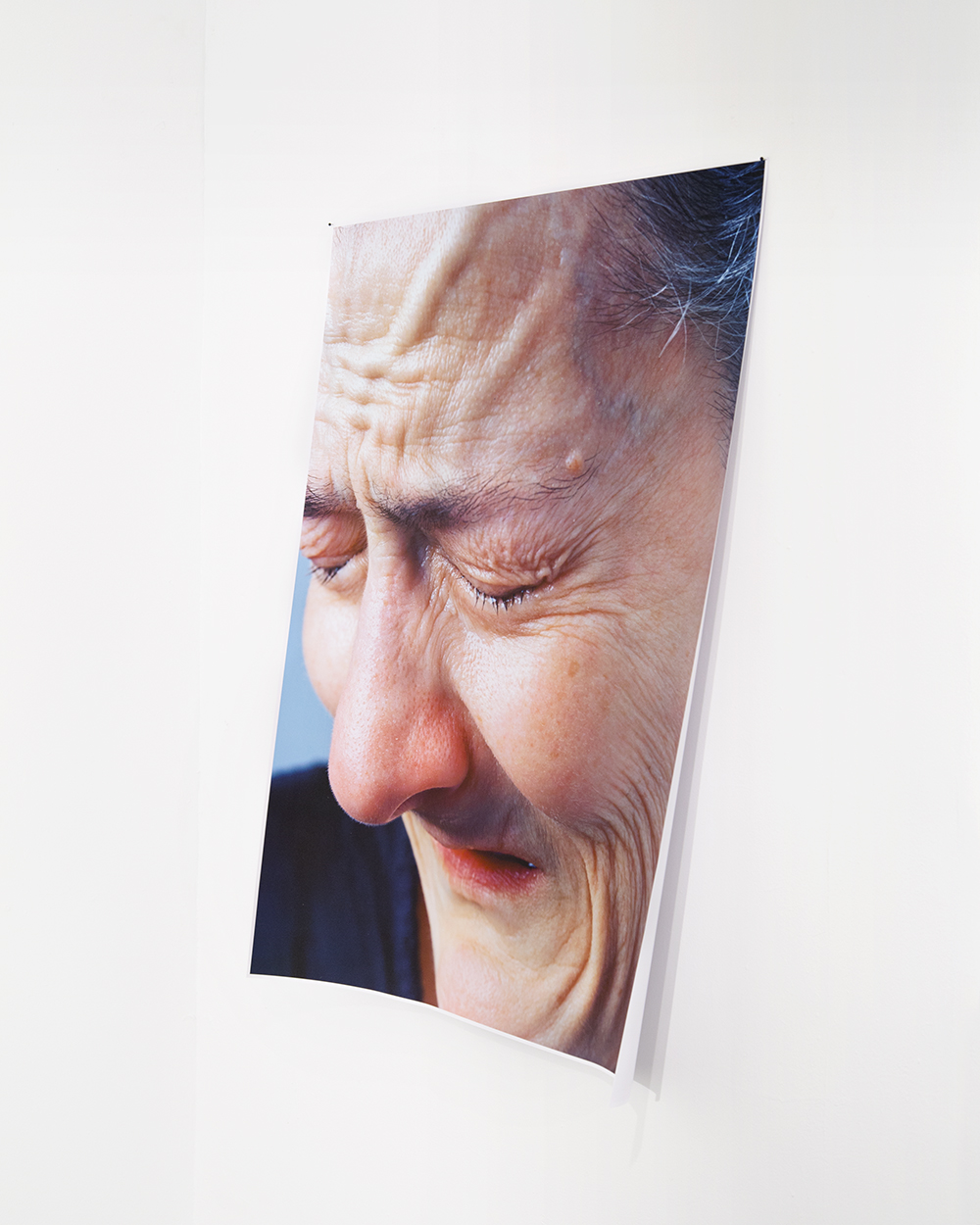 Amazing Amy, 2015 / 36"x46" / Inkjet