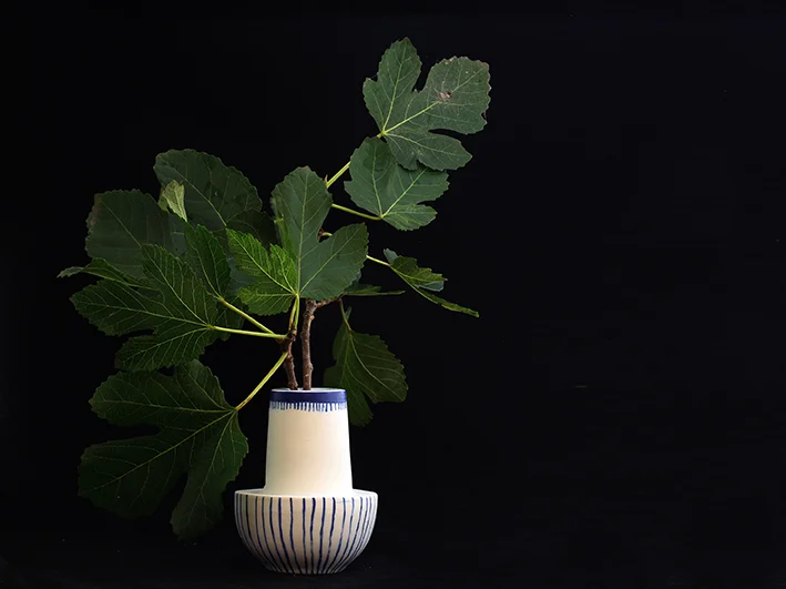 vase#5 LR.jpg