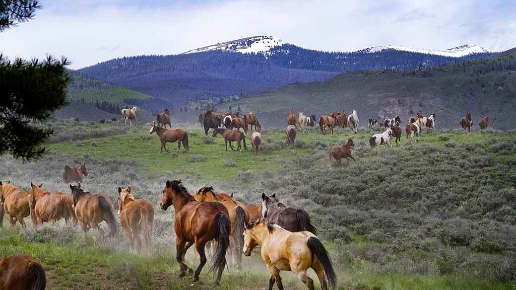 C Lazy U Ranch in Granby, CO