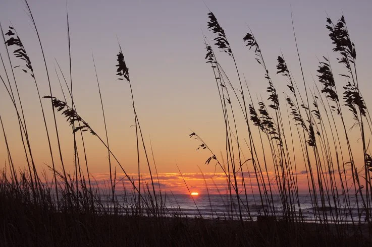 Wild Dunes_Pool_Boardwalk Inn.jpg