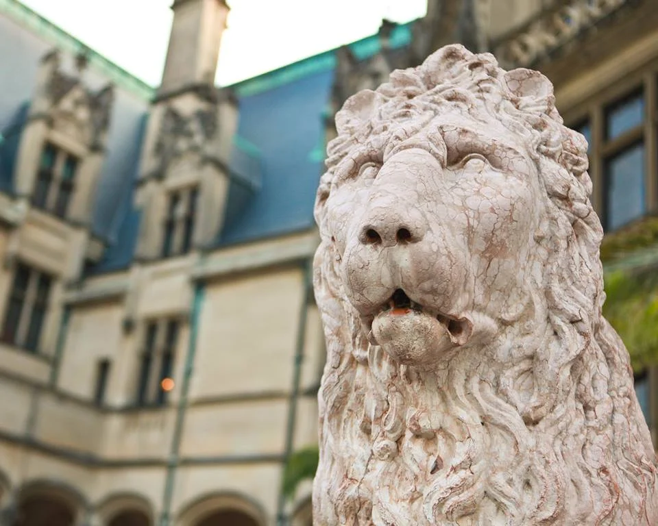 biltmore-lion.jpg