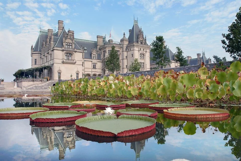 biltmore-italian-garden.jpg