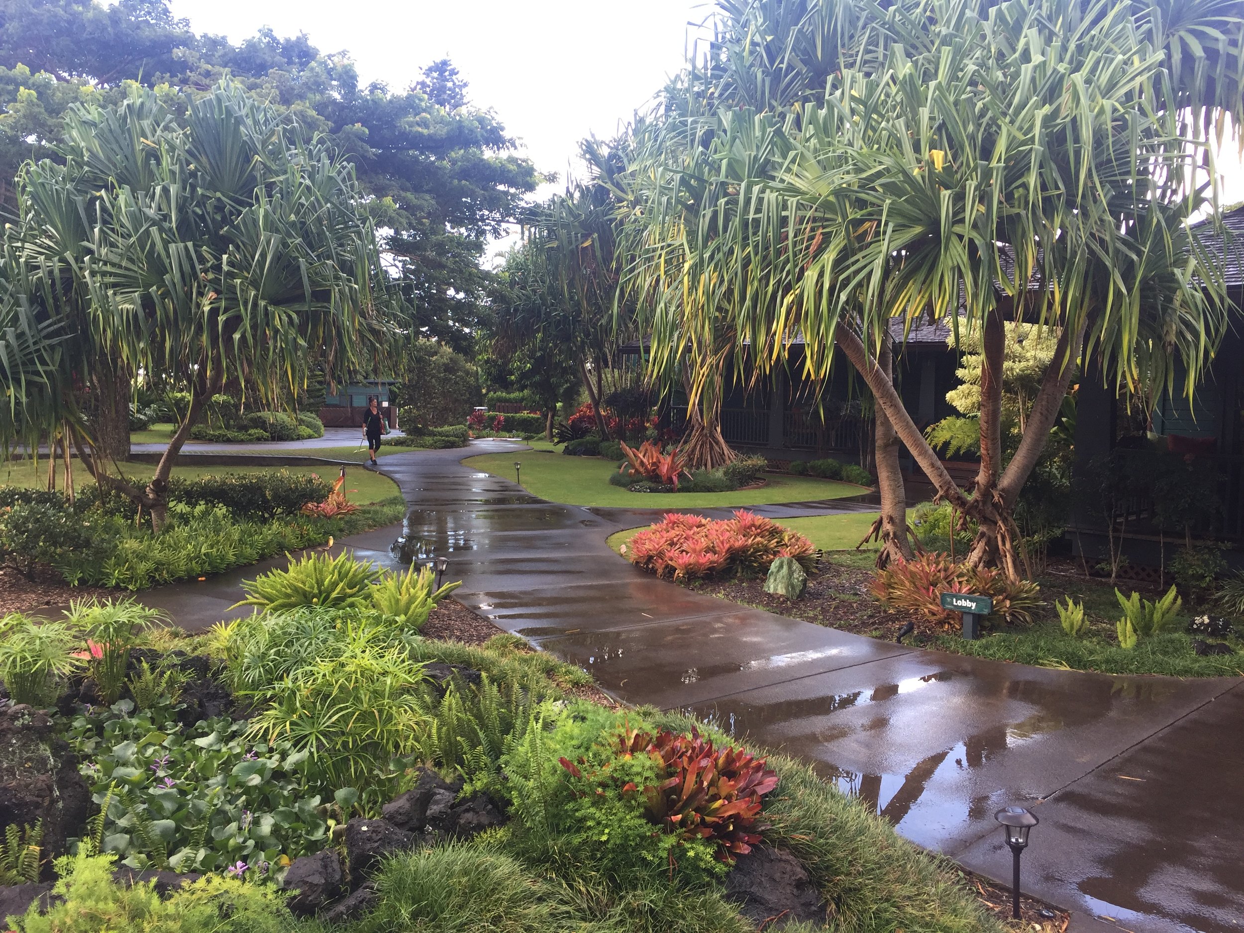 The grounds