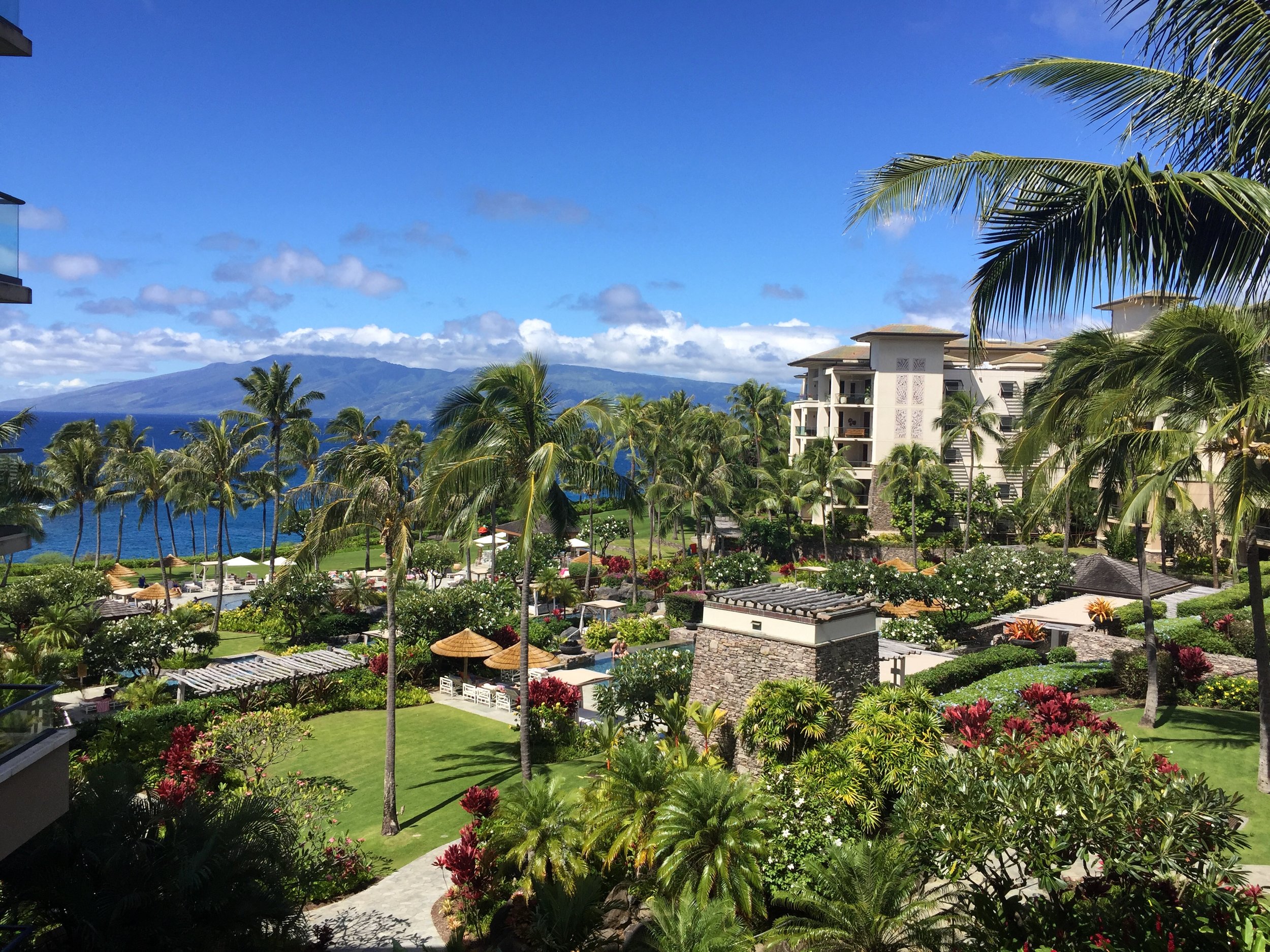 Montage Kapalua : Room View