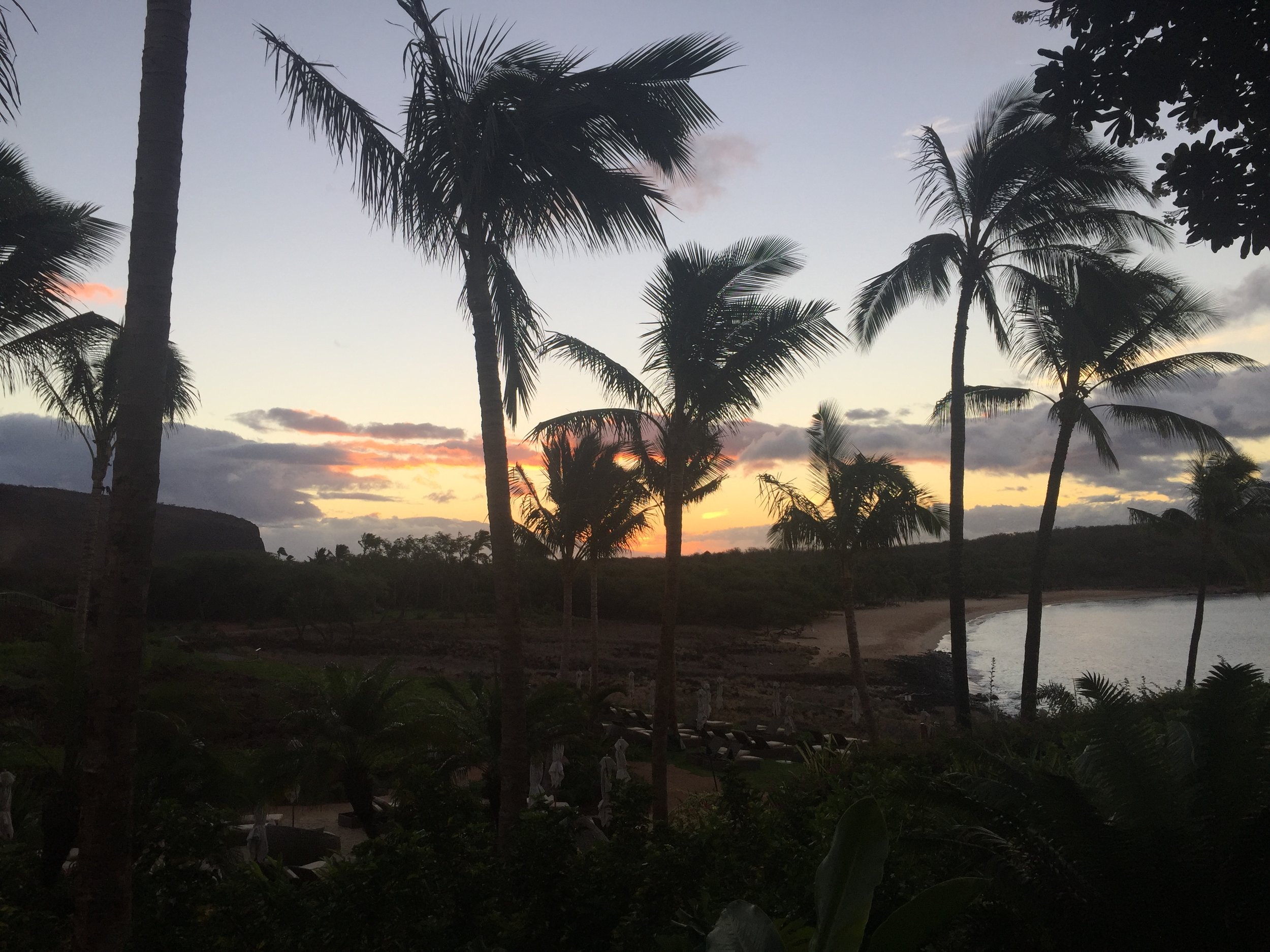 I love FS Lanai