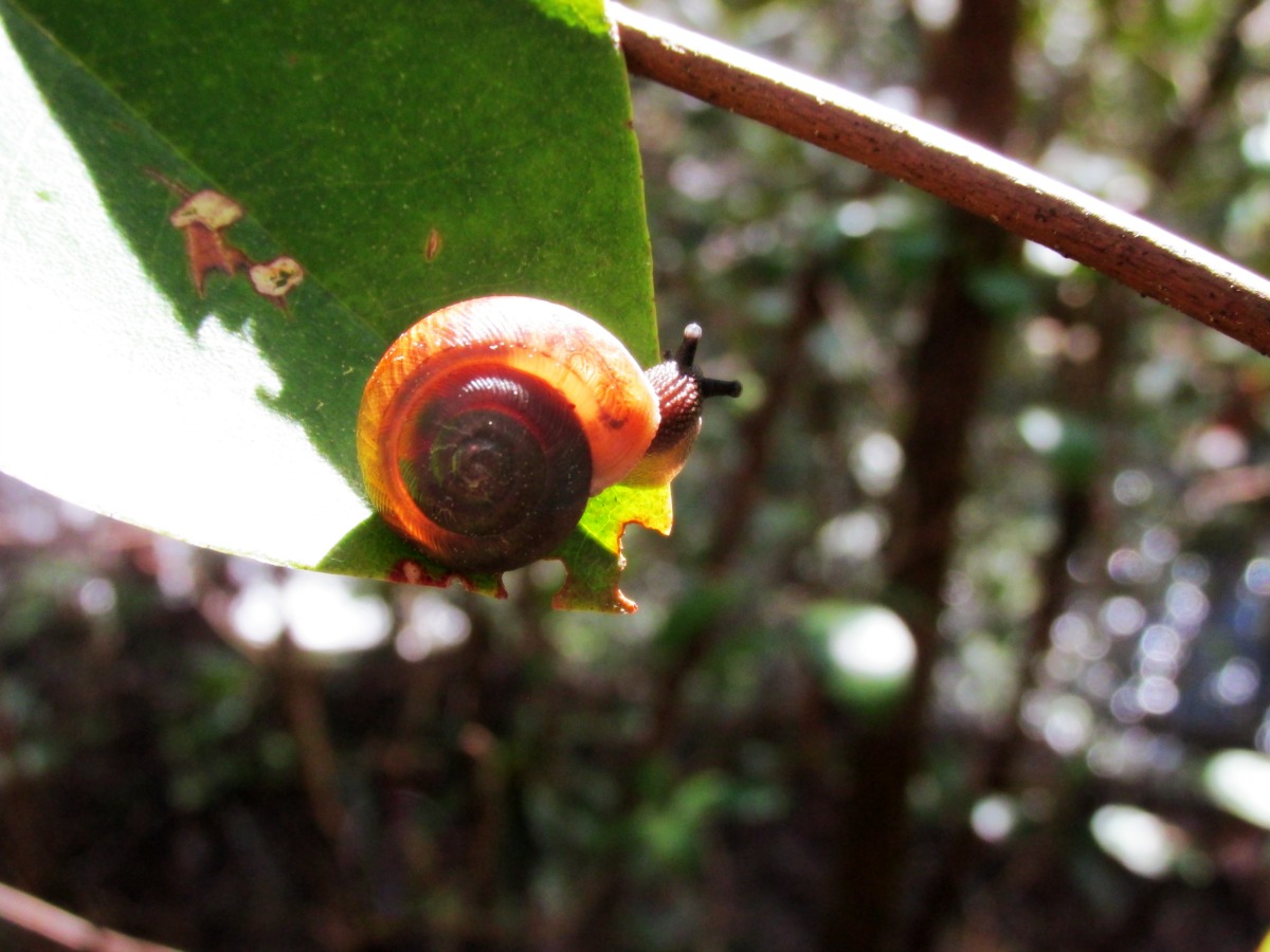 “There are days when the only thing to do is return to all things simple and small.” - Book of Hours: In Shadow and Sun