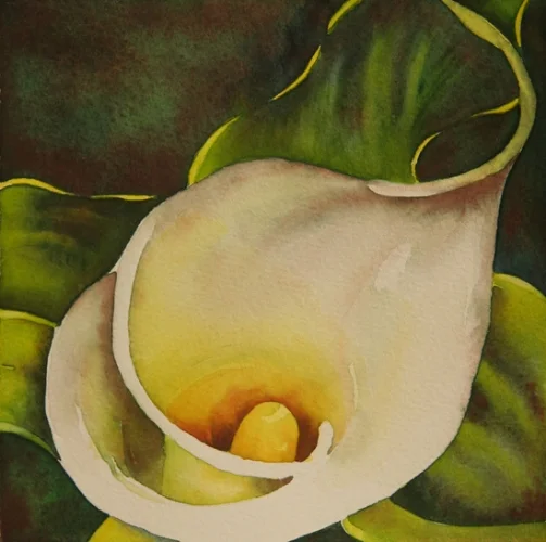 Watercolor from "Calla Triptych"