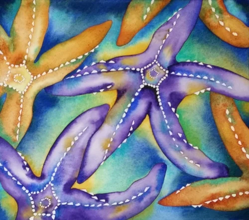 Ochre Starfish - 2014