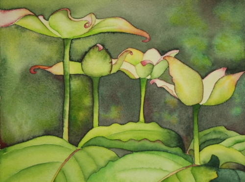 Springing Up