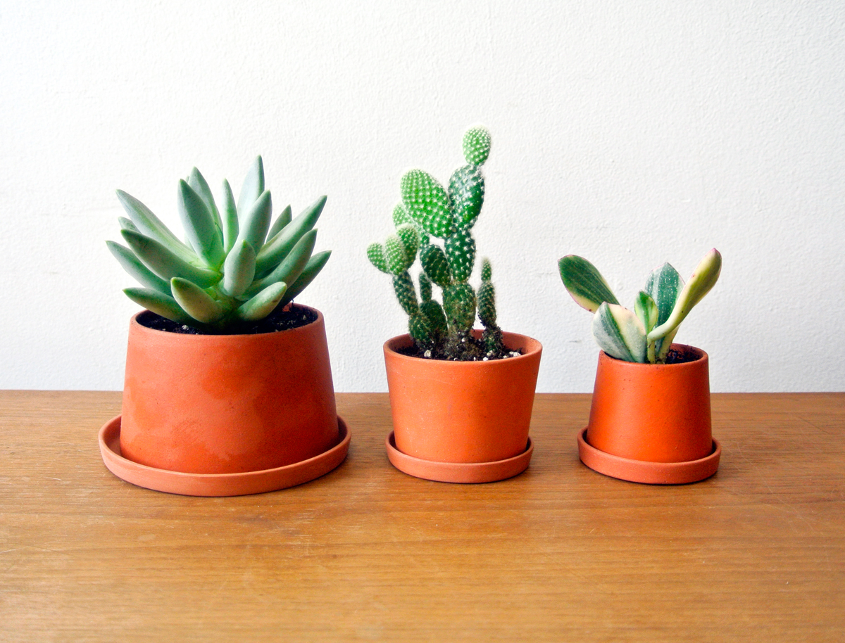Mini Planters