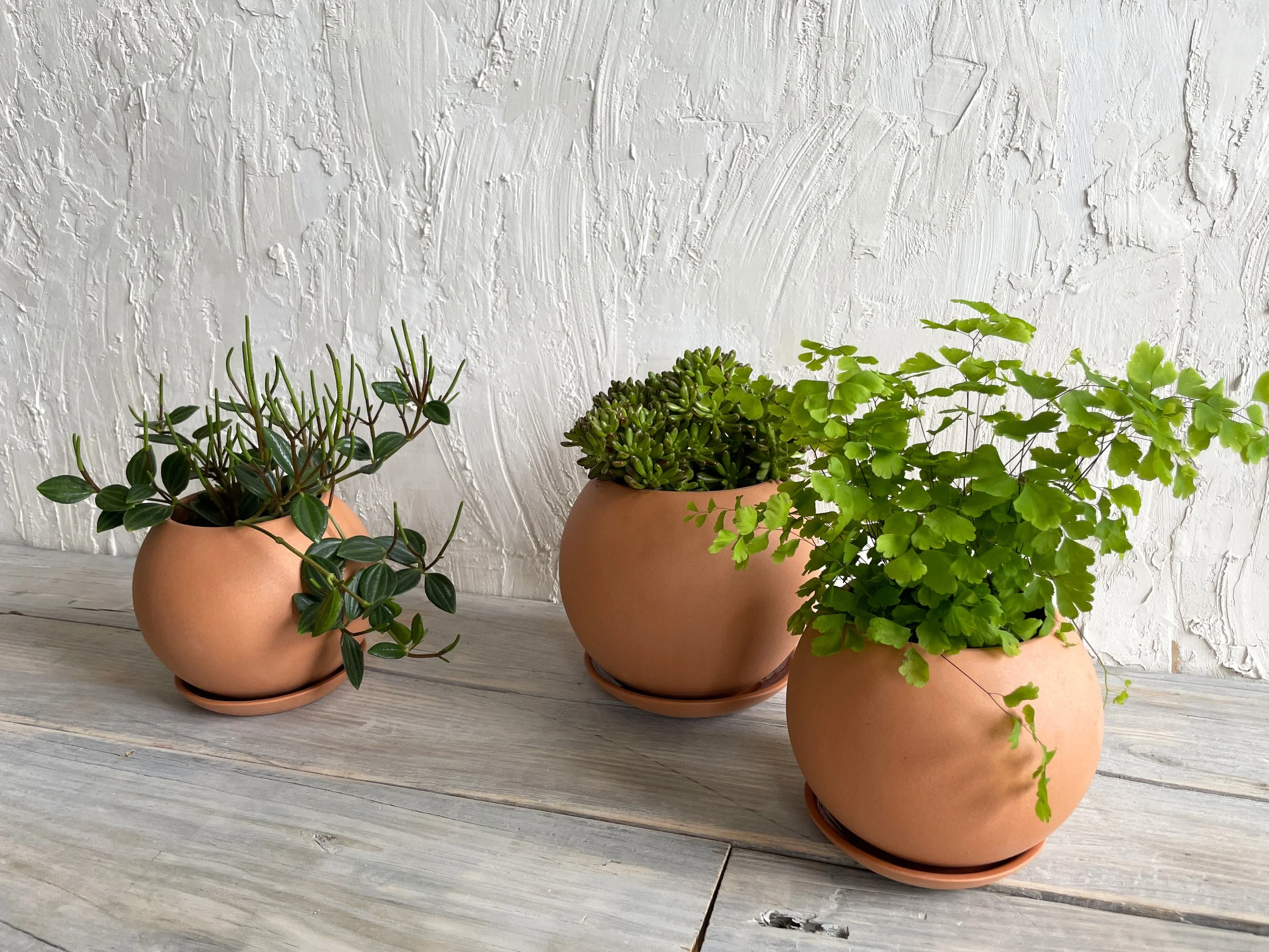 Orb Planter: Small