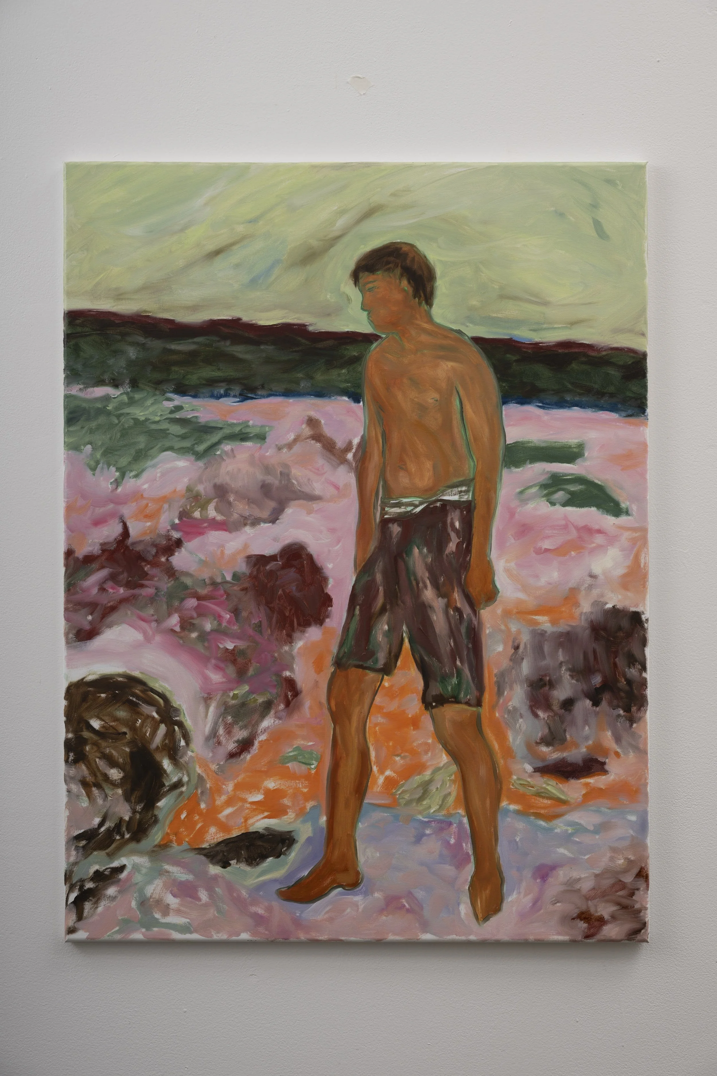   Shark's Cove 1312 , 2024, oil on linen, 30x40in (76.2x101.6cm) 