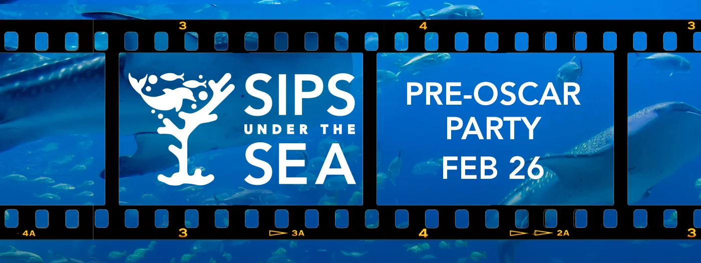 2016 JETAA Regional Conference - February 26th Nijikai