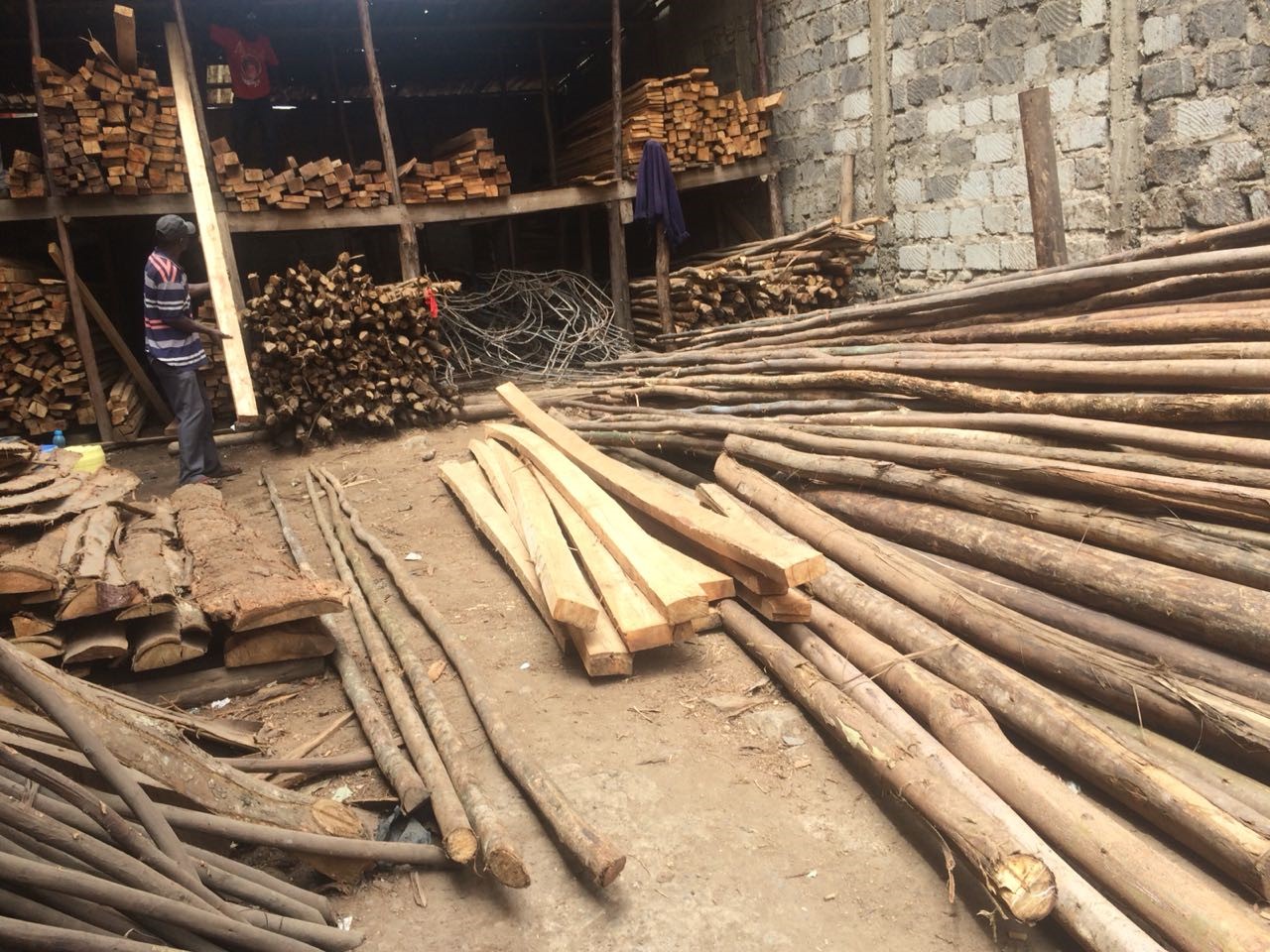 Timber.jpg