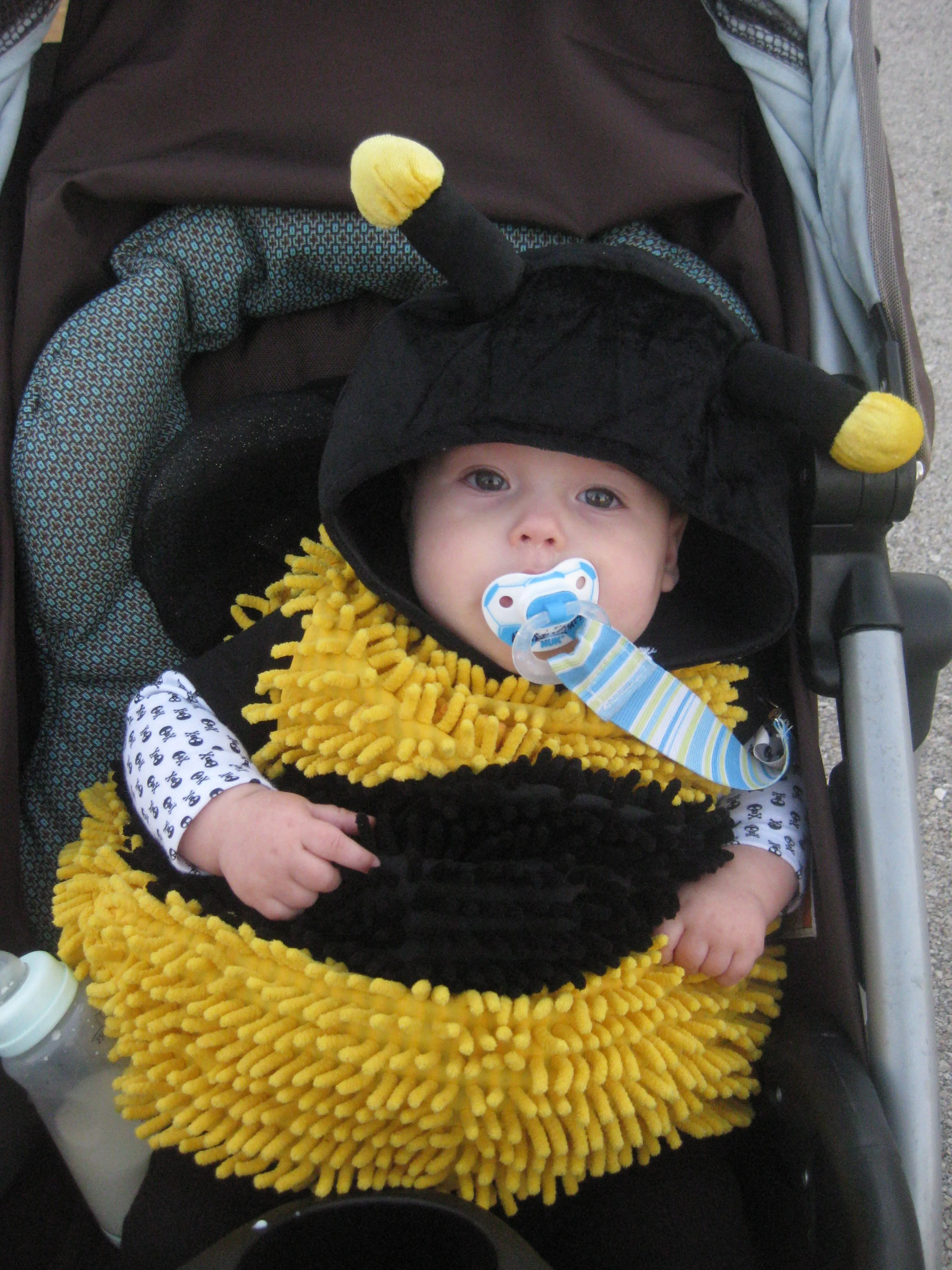 littlest bumblebee.jpg