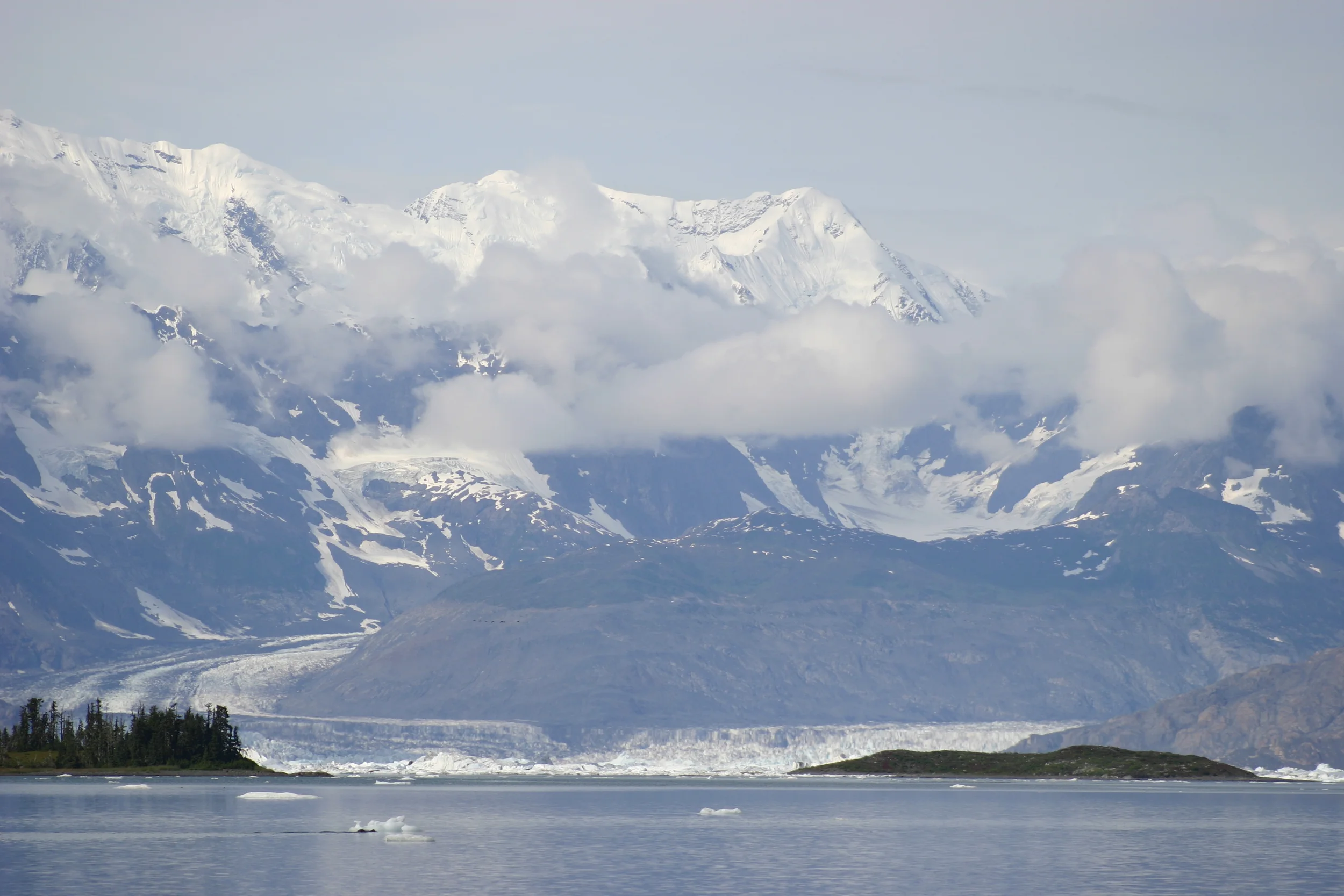 World Premiere by the Orchestra of the PInes