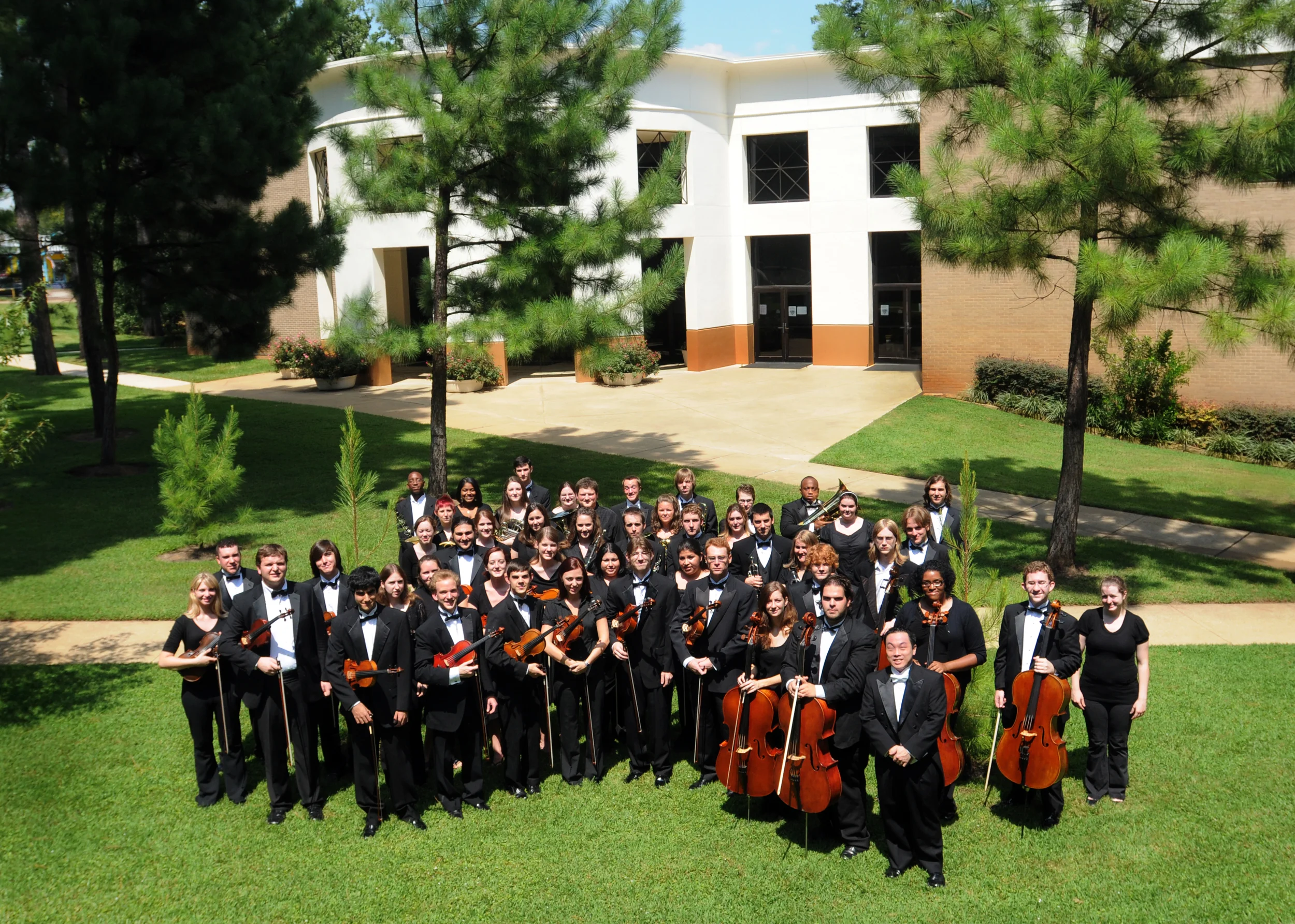 Orchestra of the Pines 