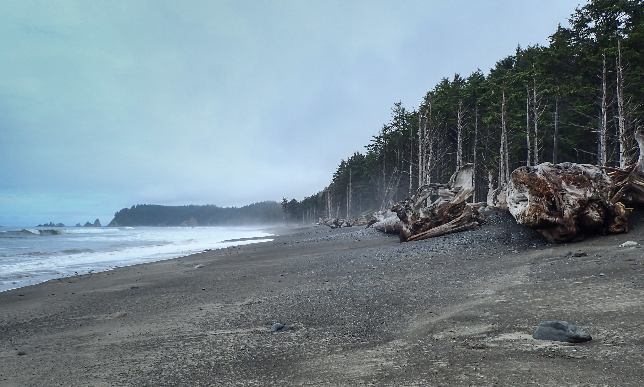 Coast Hike Olympus-9.jpg