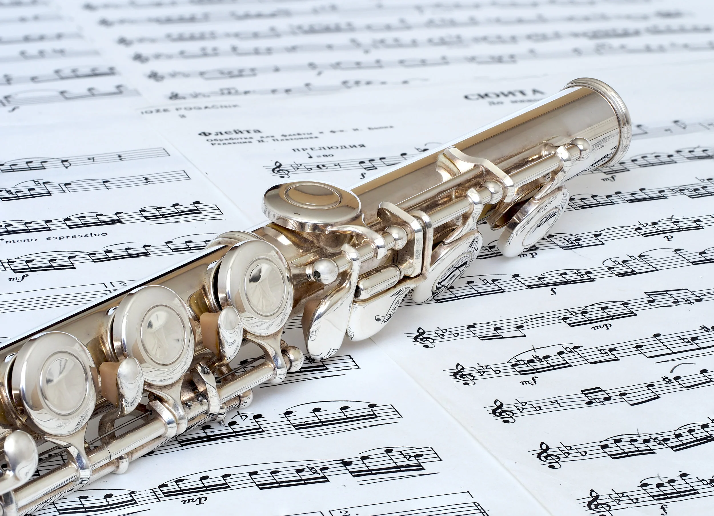 Composer Spotlight - Flute New Music Network