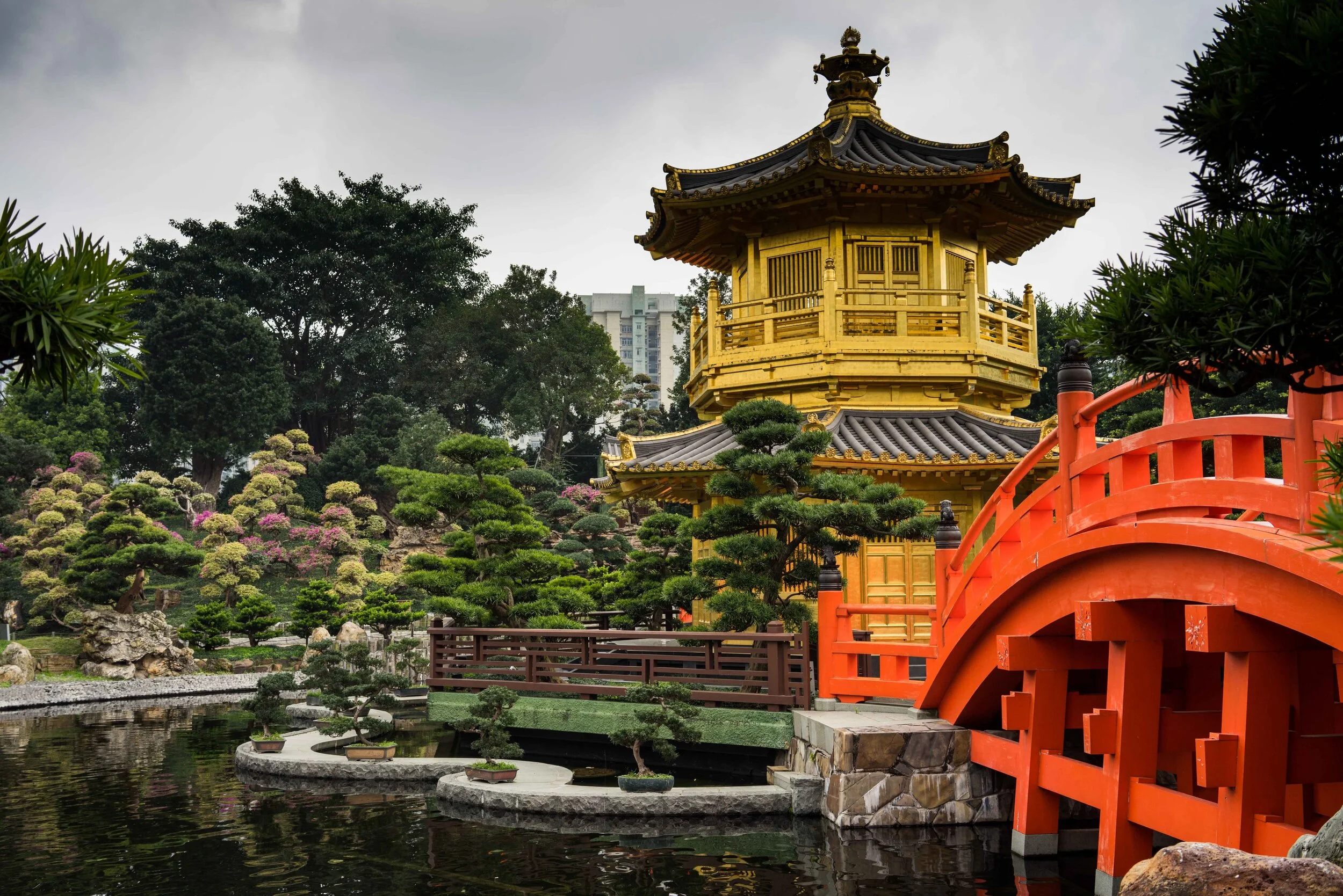 HongKong2014-3.jpg