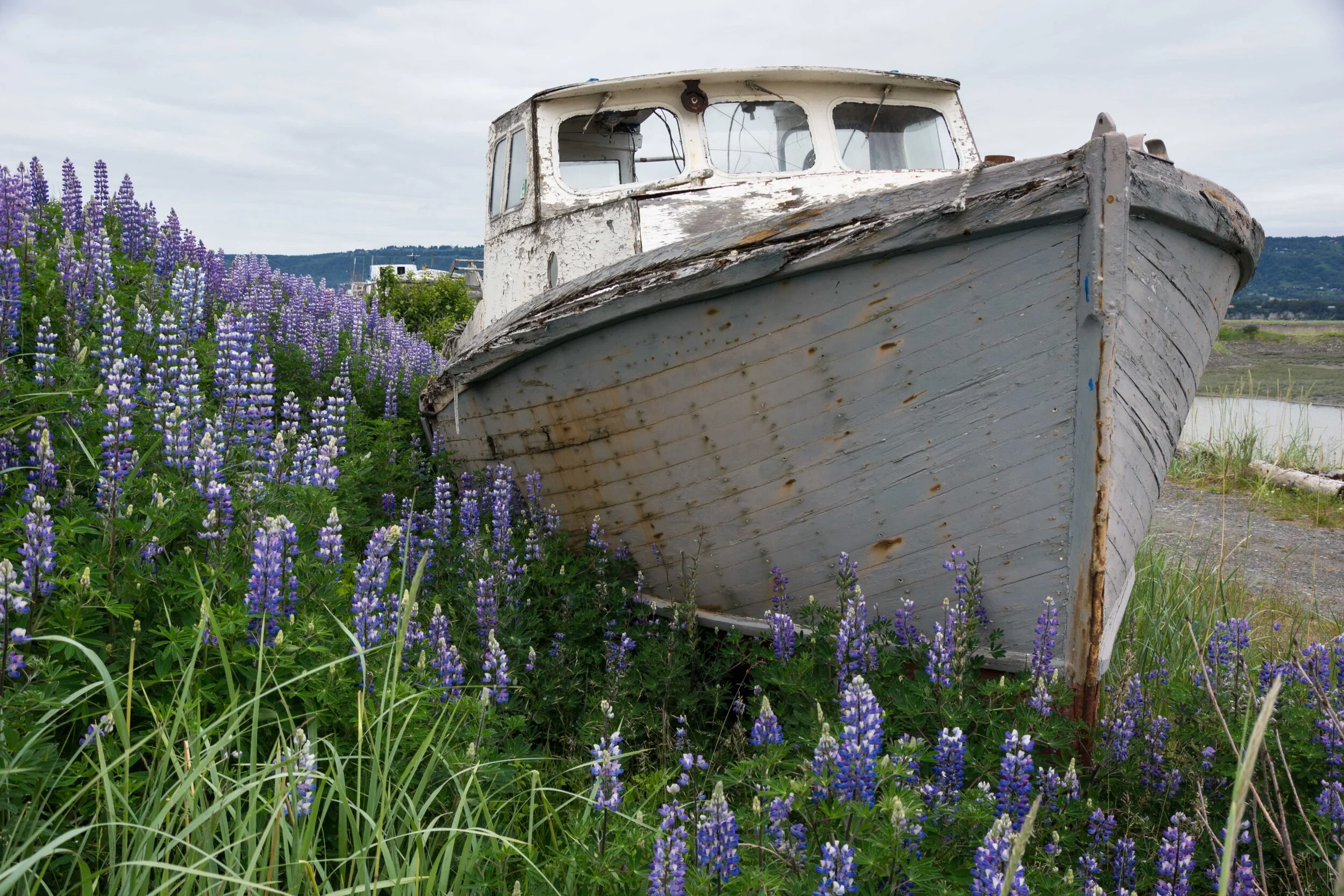Alaska2013-3.jpg