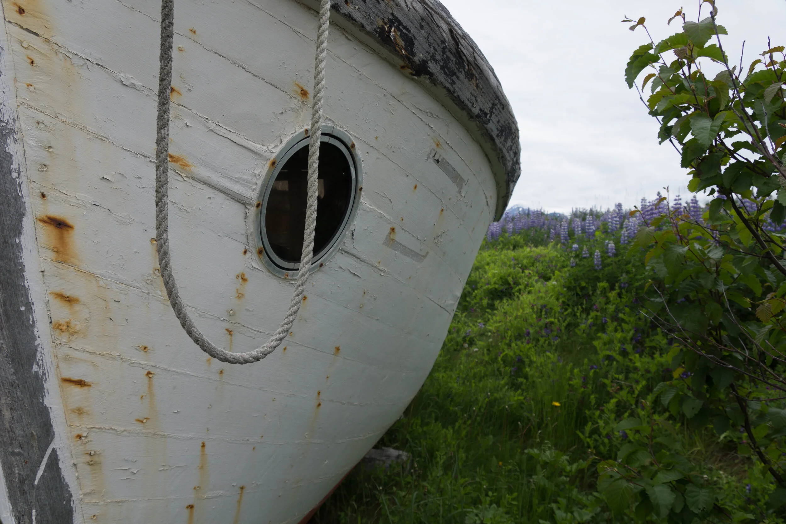 Alaska2013-4.jpg