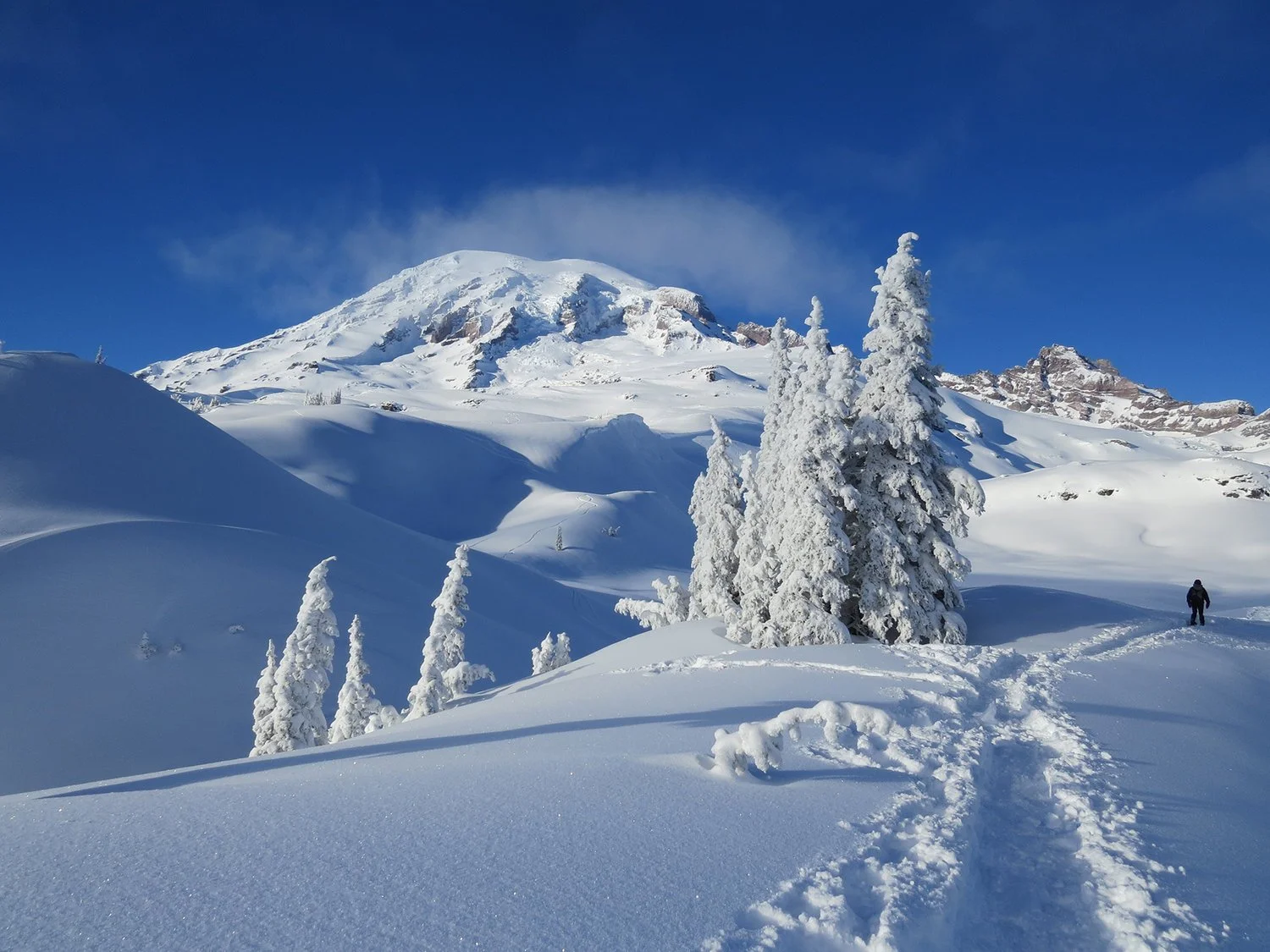 IU Wind Ensemble performs "Mount Rainier Search and Rescue"