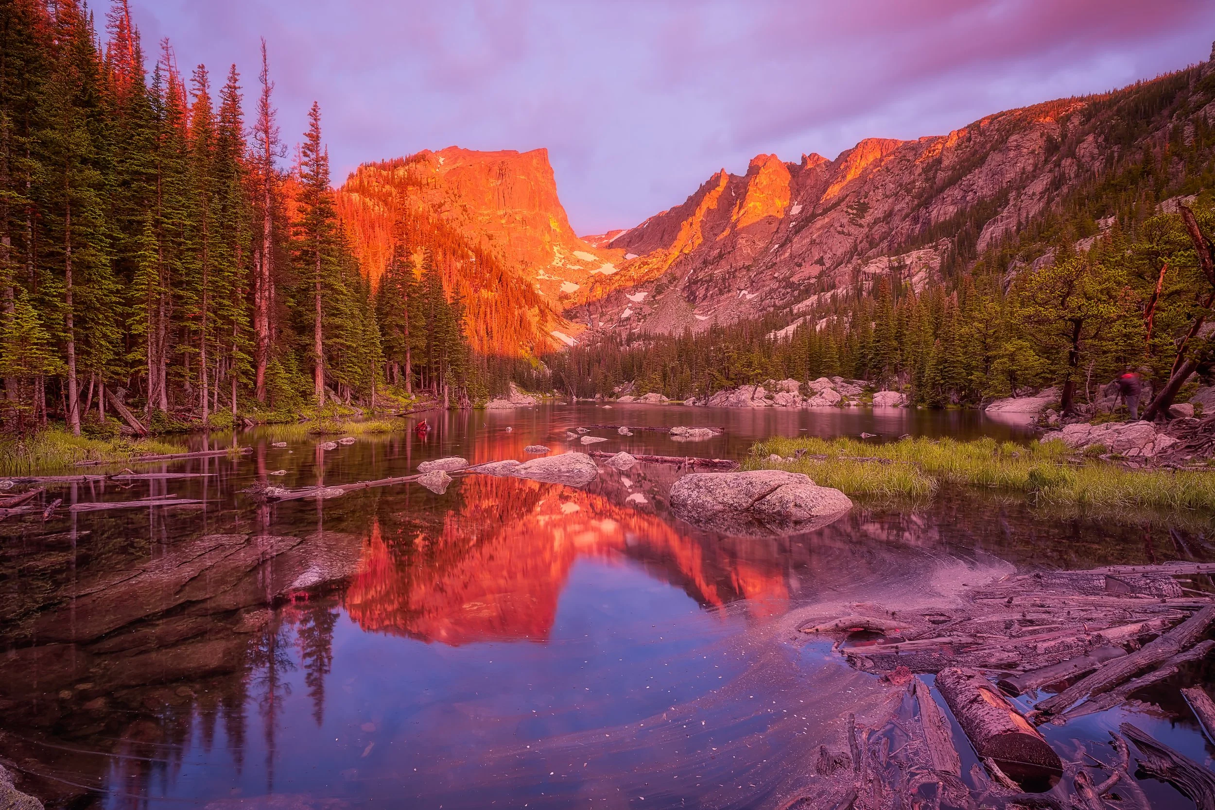 shutterstock_752923579 smaller.jpeg