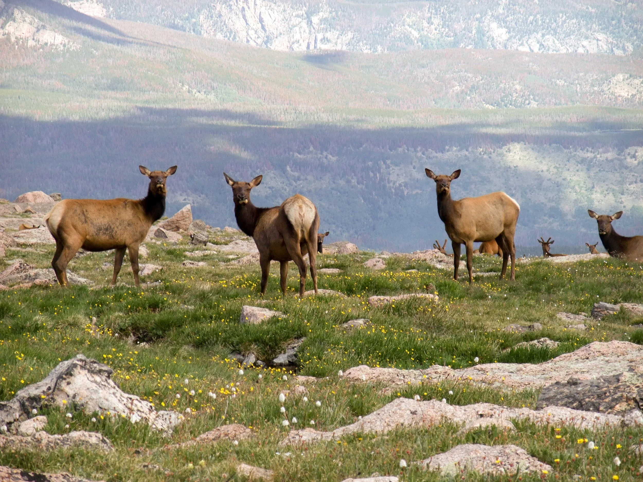 Grand Valley State University New Music Ensemble National Park Tour