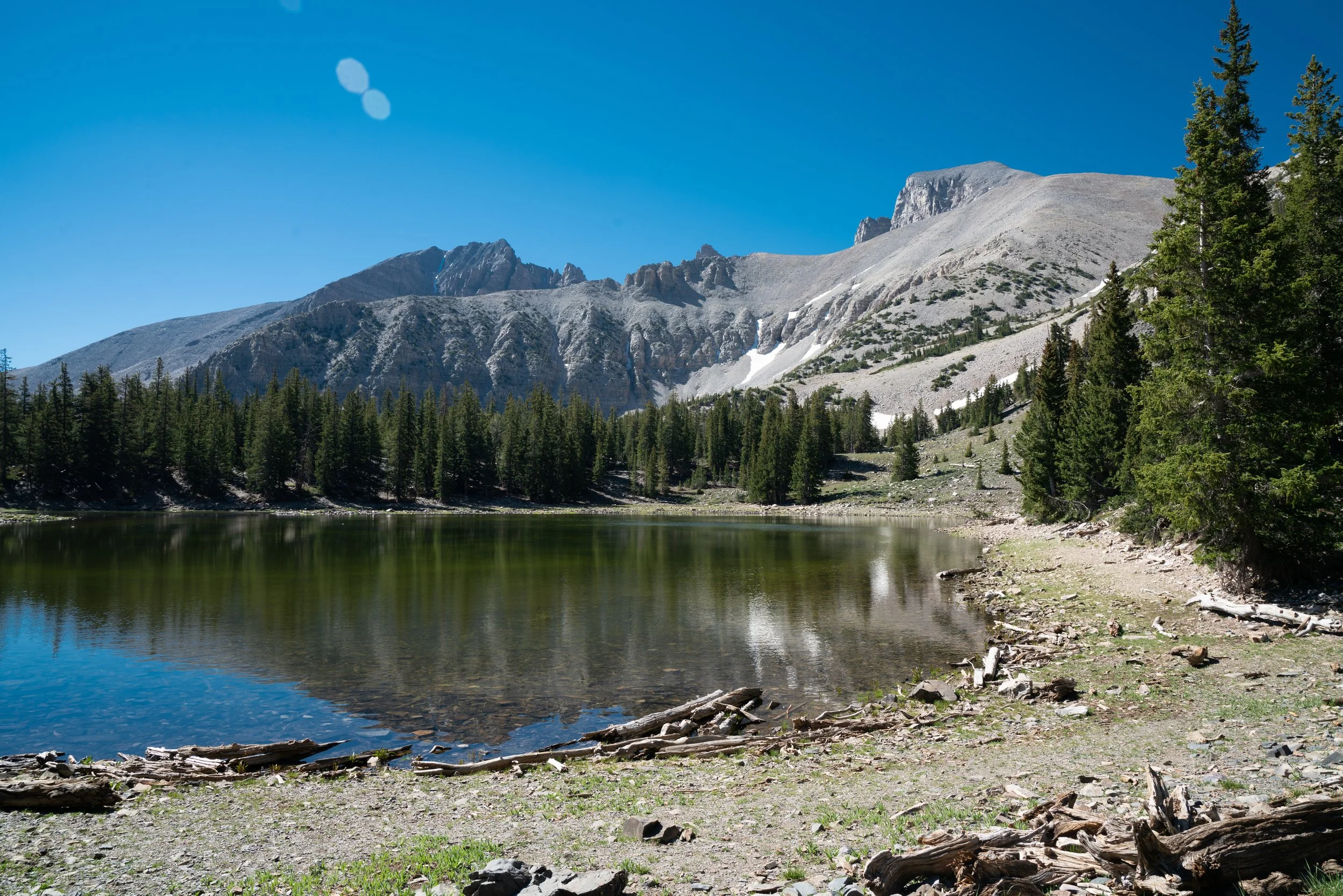 Grand Valley State University