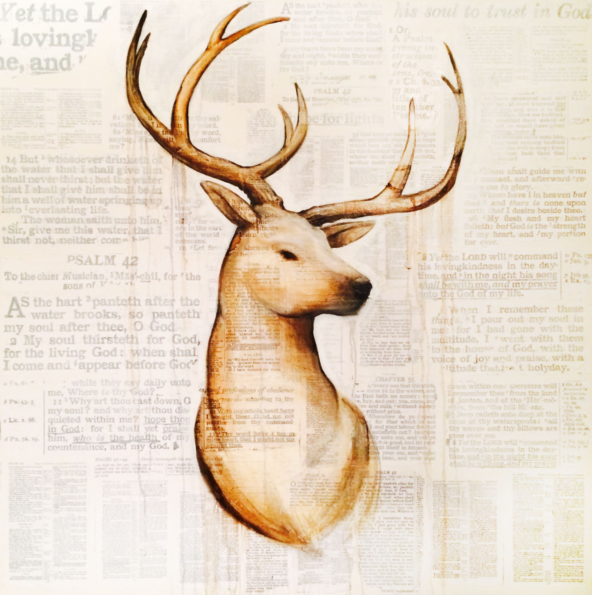 Stag | Psalm 42