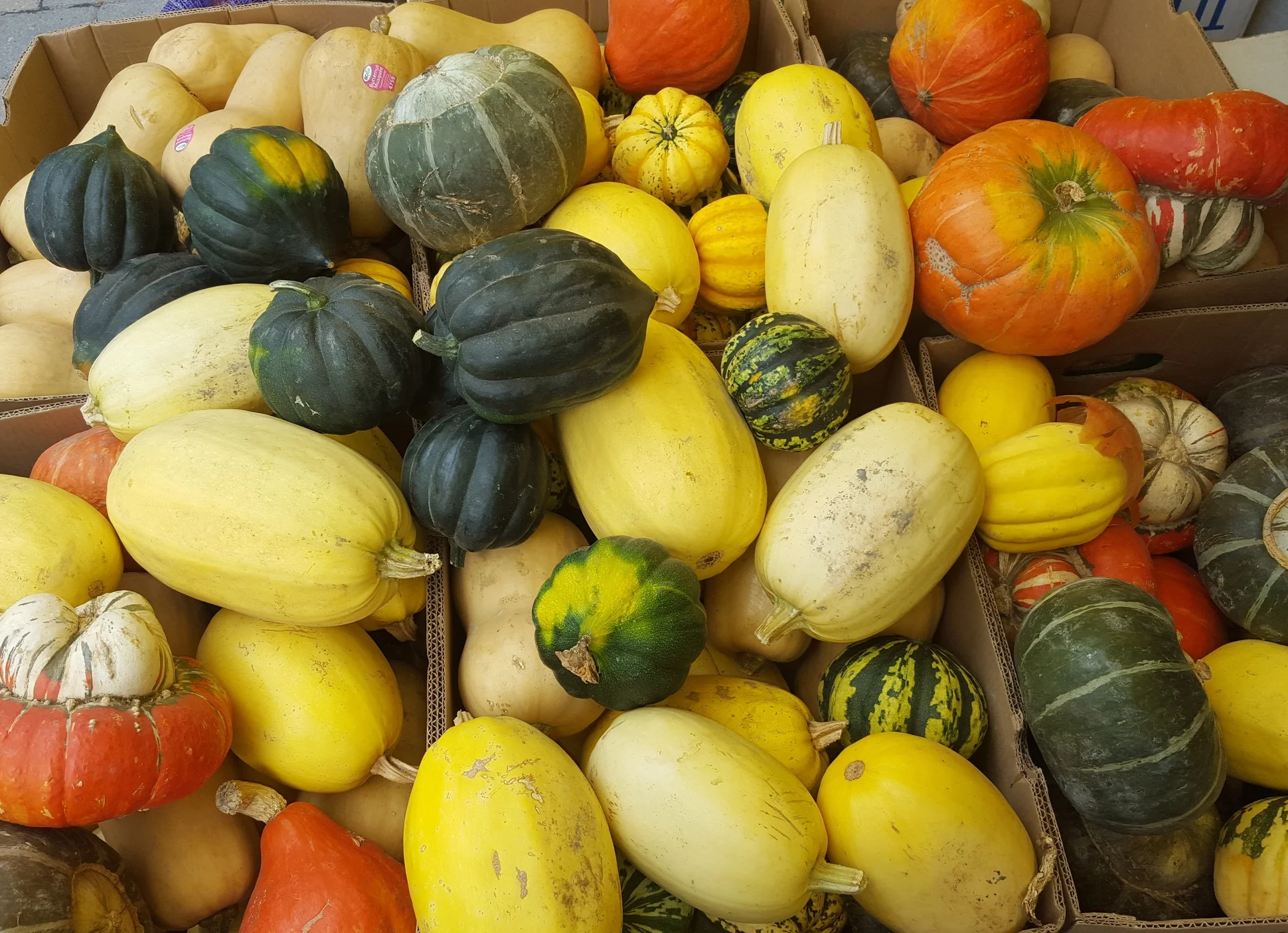 Baked Pumpkin and Squash Seeds Recipe