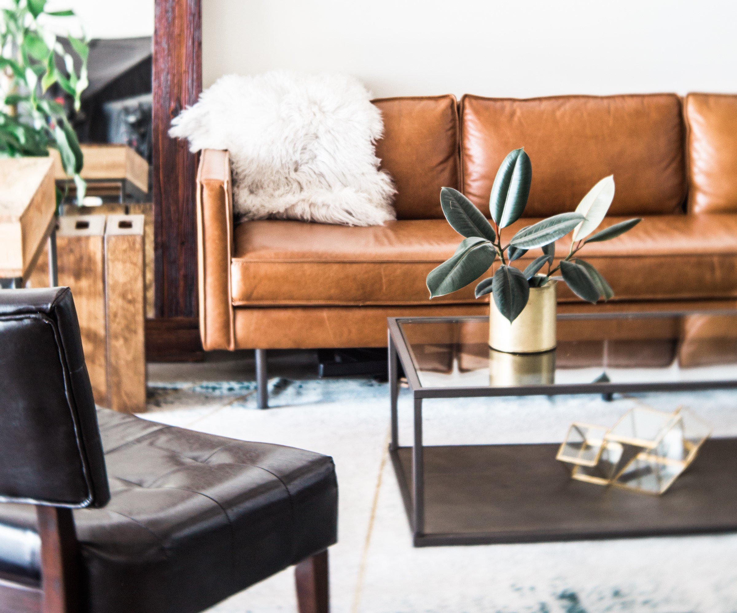 Creating a Healthier, Clutter-Free Home