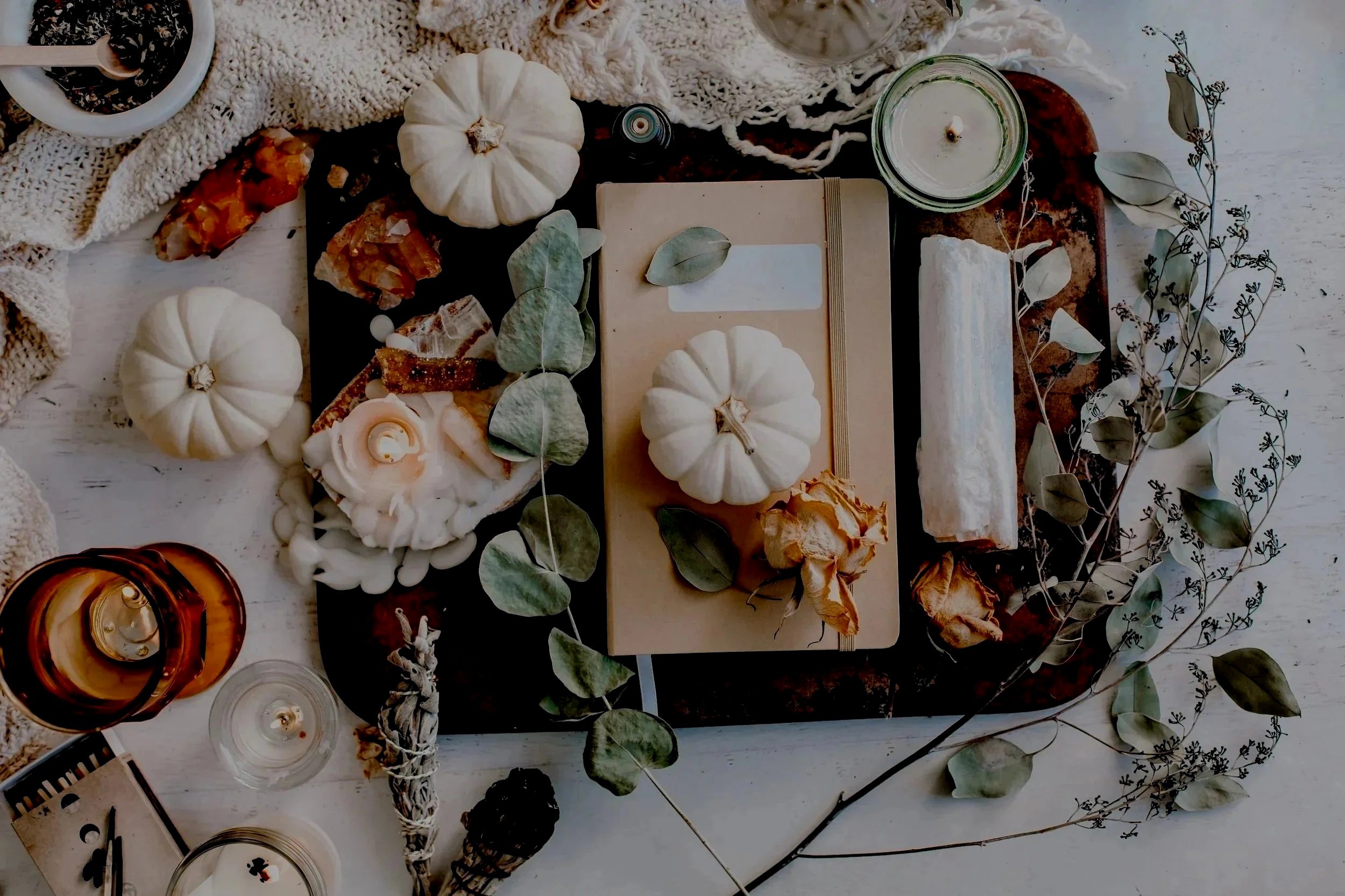 Ready for a Reset? Why September Is the Perfect Time to Get Back on Track