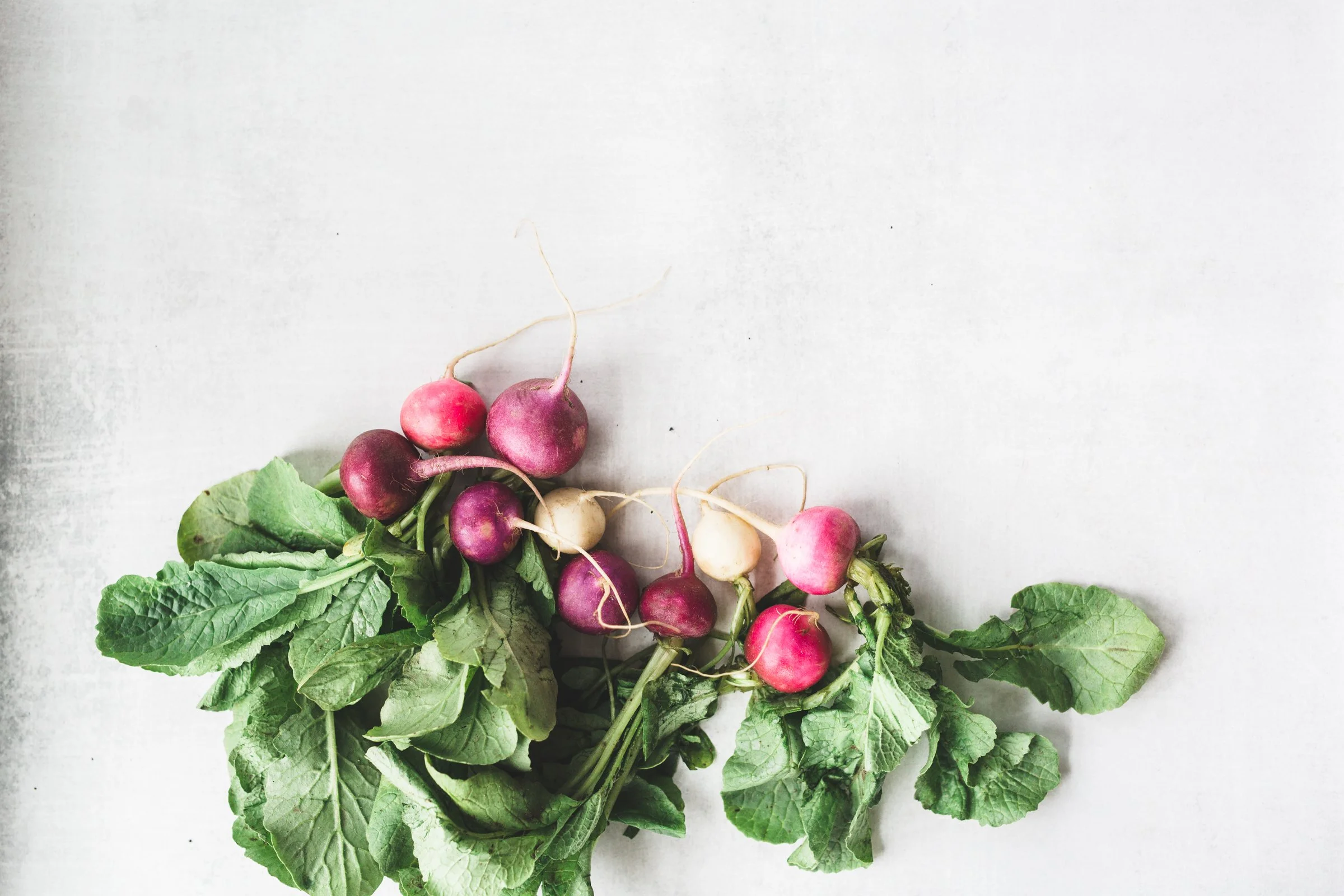 Root Vegetable for Fall