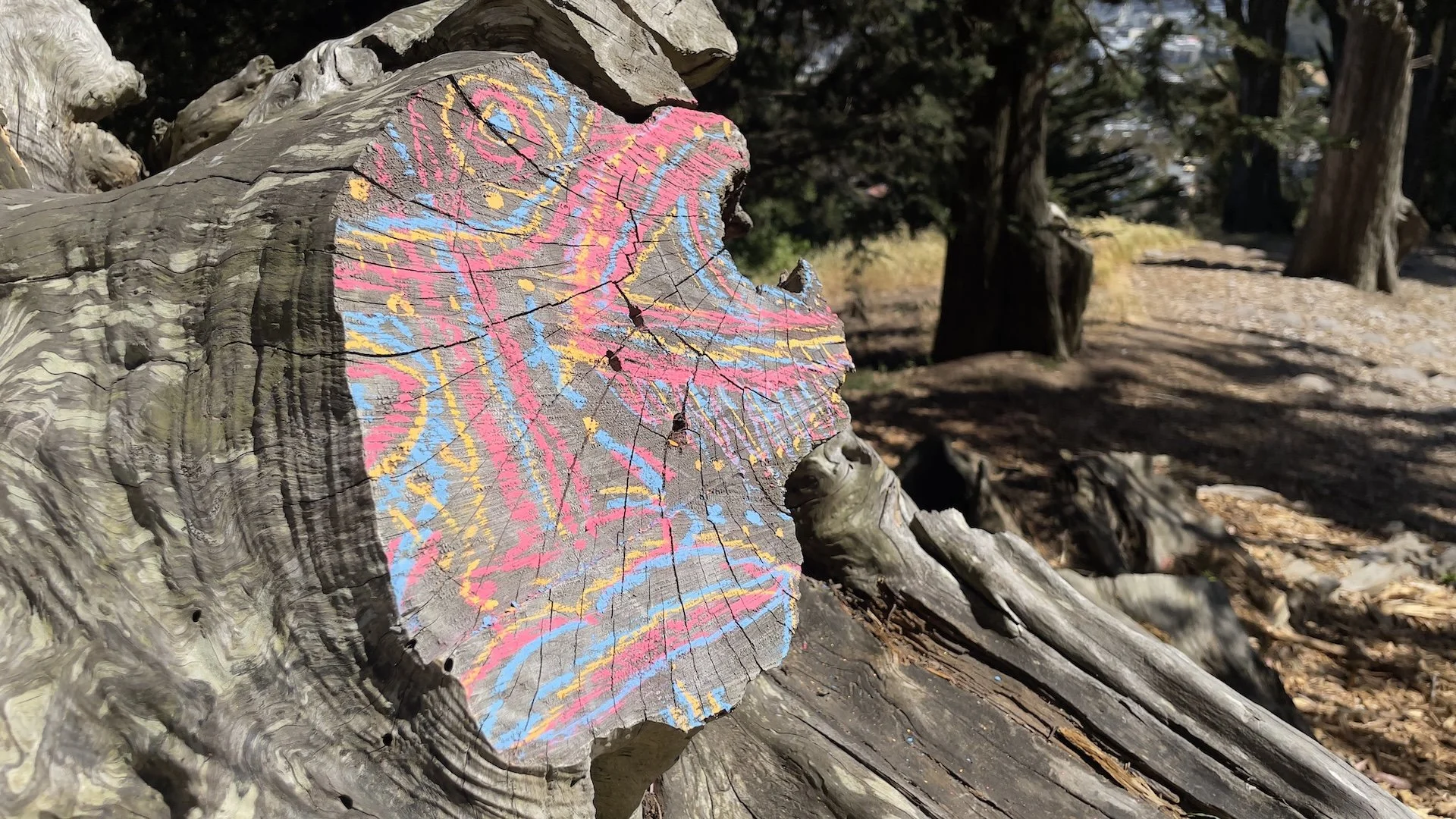 Tusk1_chalk_stump 01.jpg