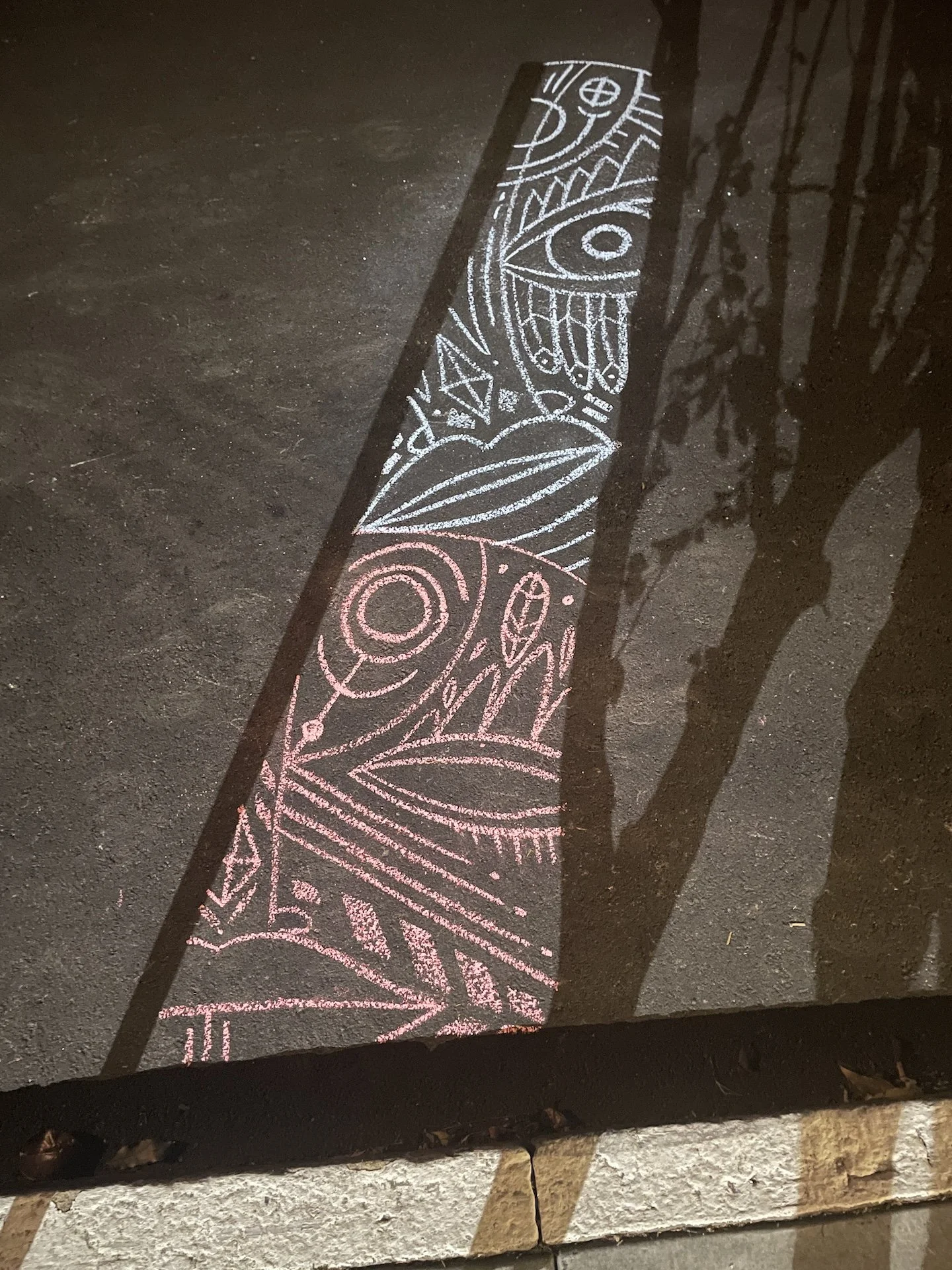 Tusk1_chalk_tree shadows.JPG
