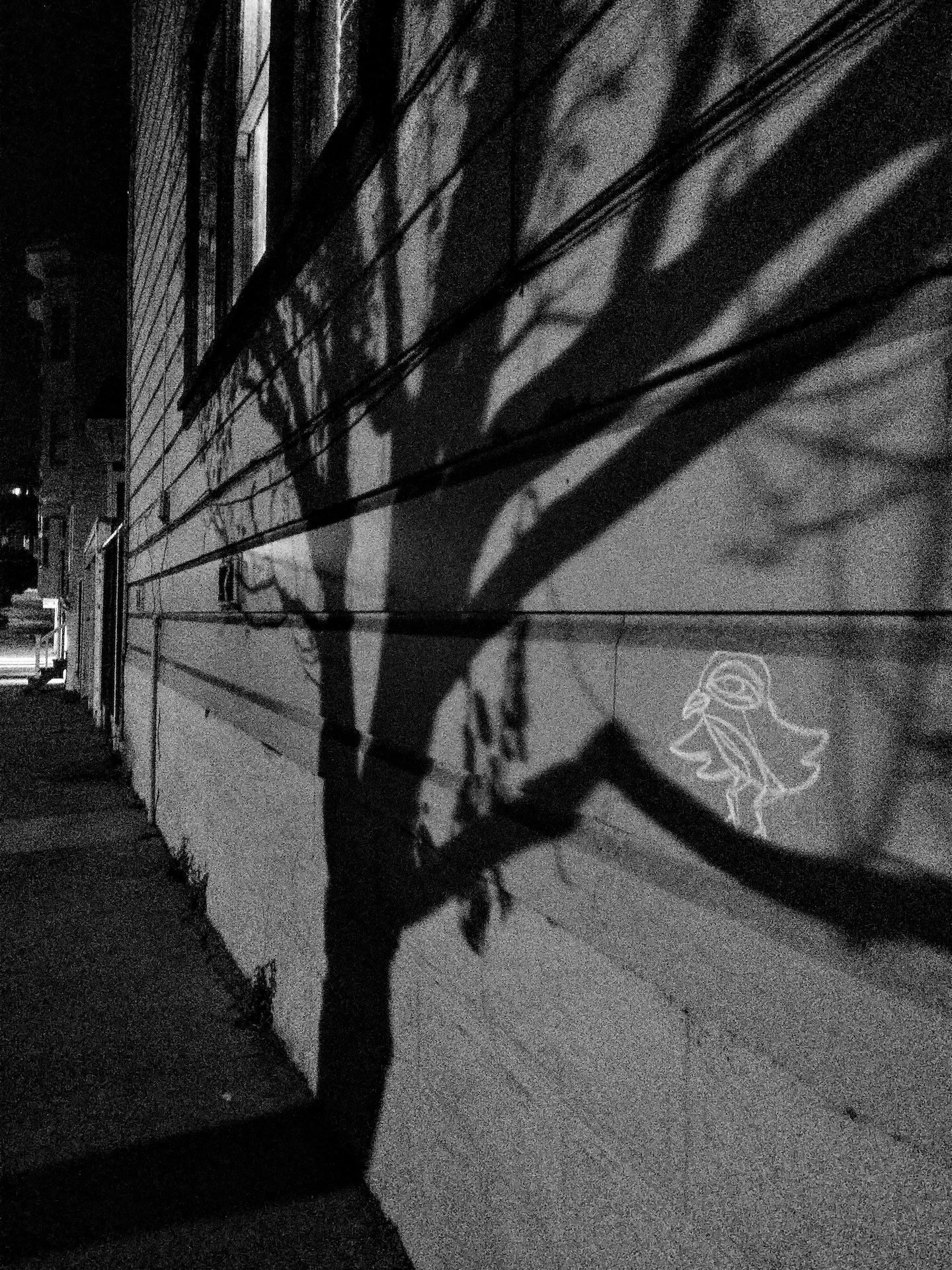 Tusk1_chalk_bird.jpeg