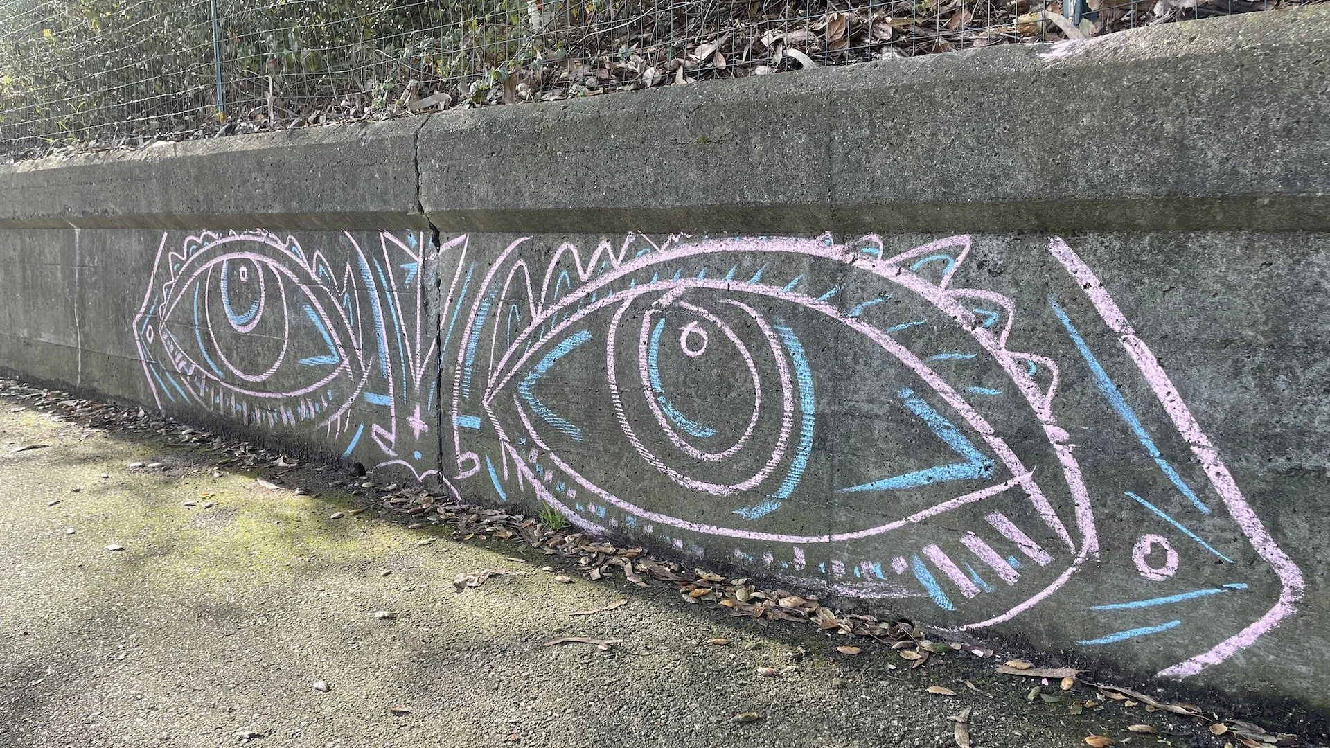Tusk1_chalk_sutro eyes.JPG