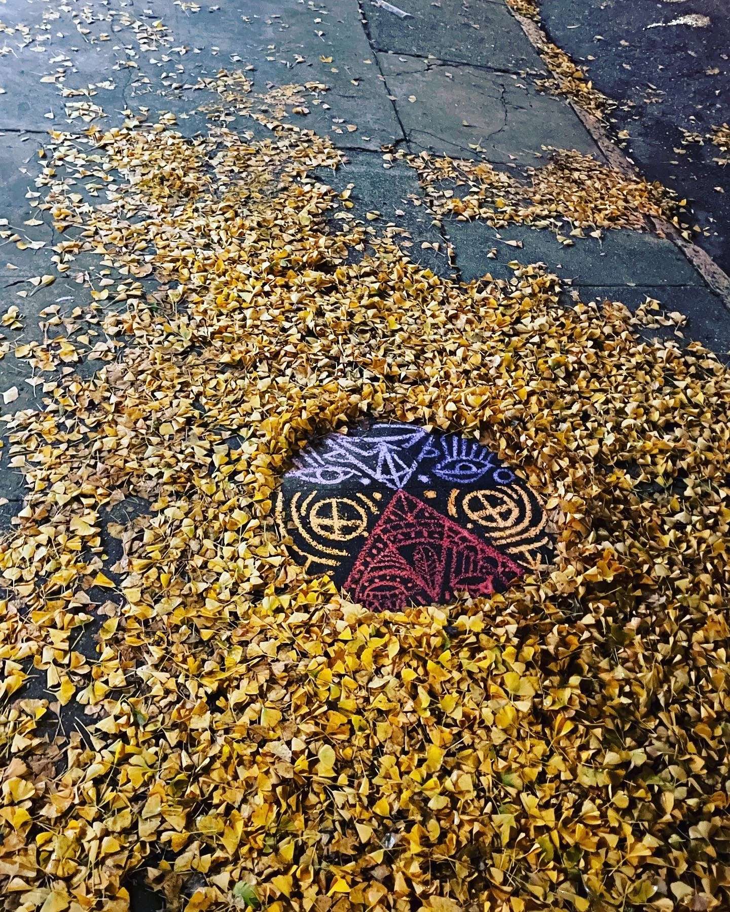 Tusk1_chalk_ginko2.jpg