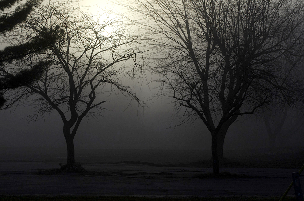 foggy morning 1sm.jpg