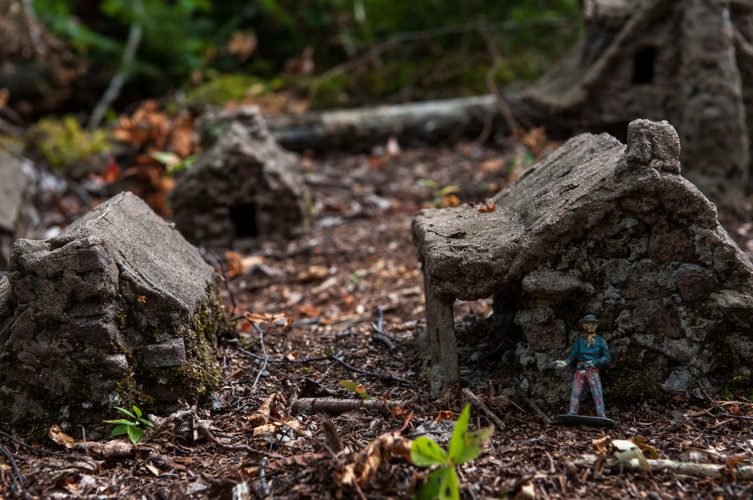 DSC_0283.jpg
