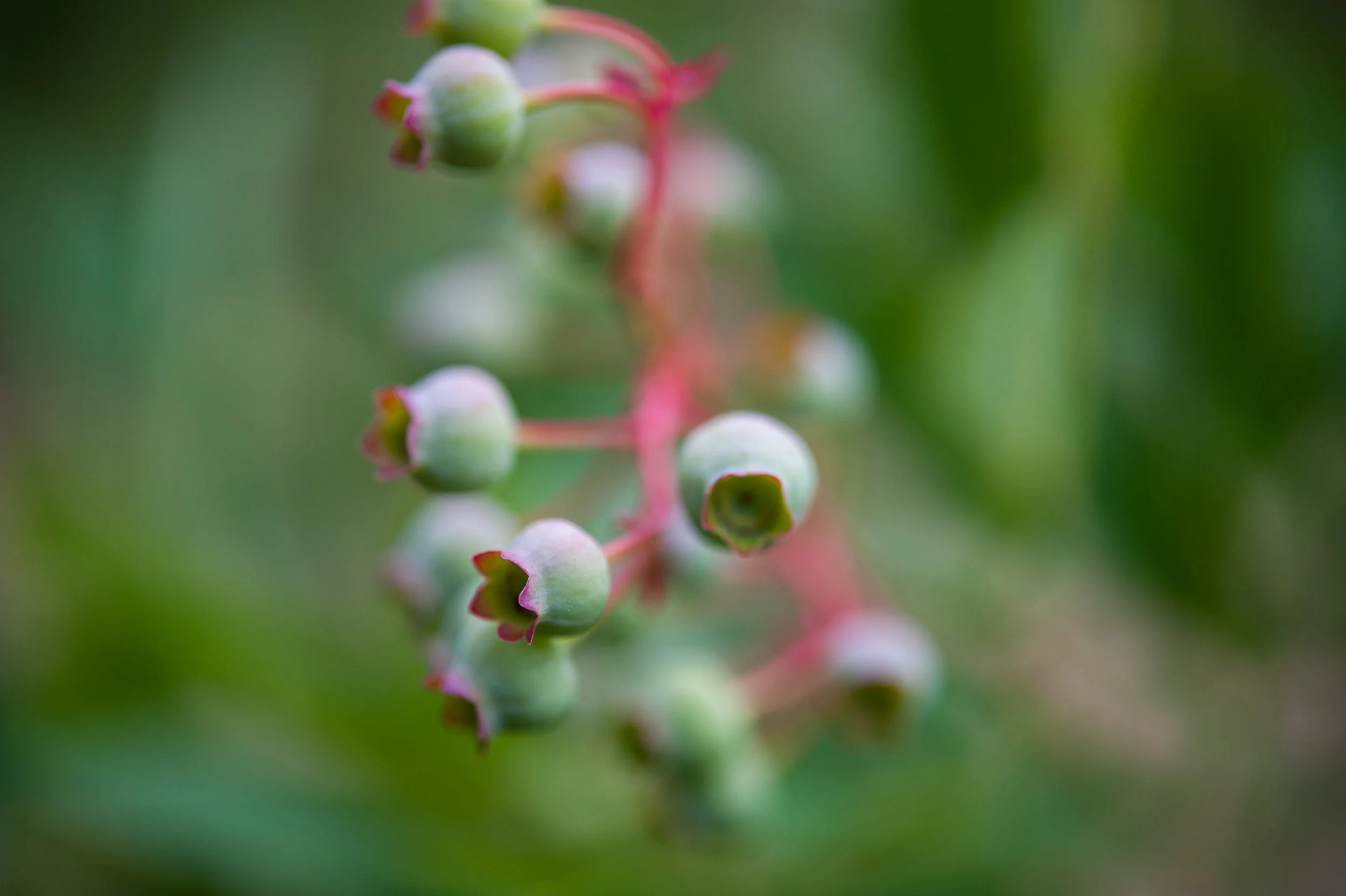 DSC_8975.jpg