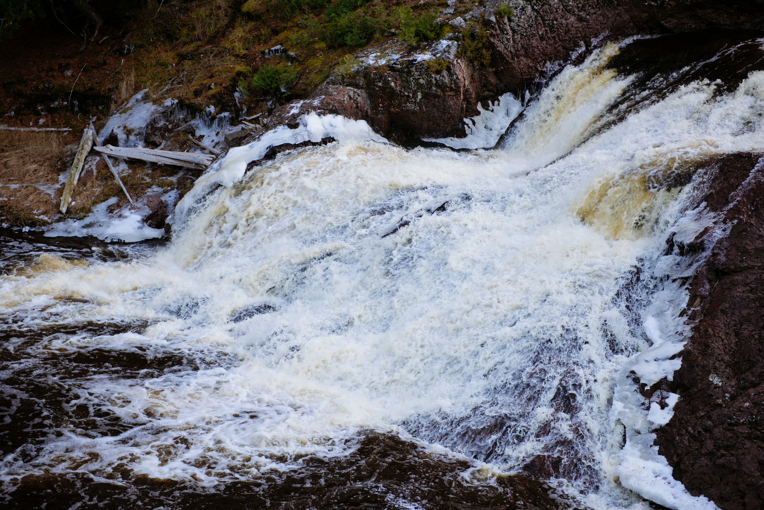 _DSC1484.jpg