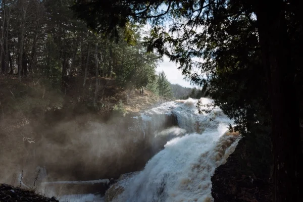 2017: Leave-takings, Regeneration, Legacy, and Bearing Witness