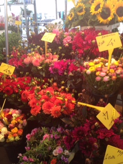 Paris Market (Colleen Mulholland)