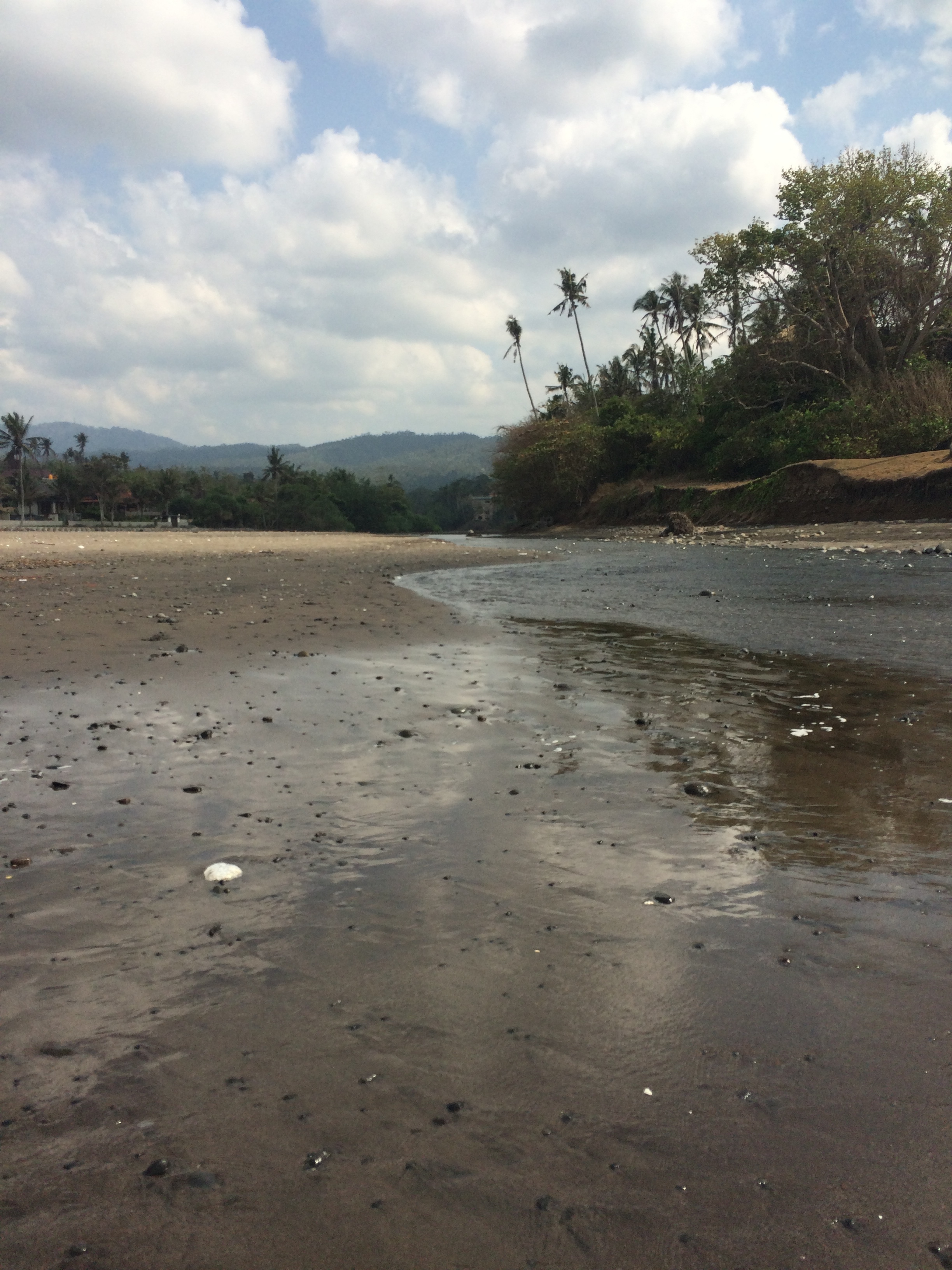  Day 1: Balian River ( Biggest River in Bali)
