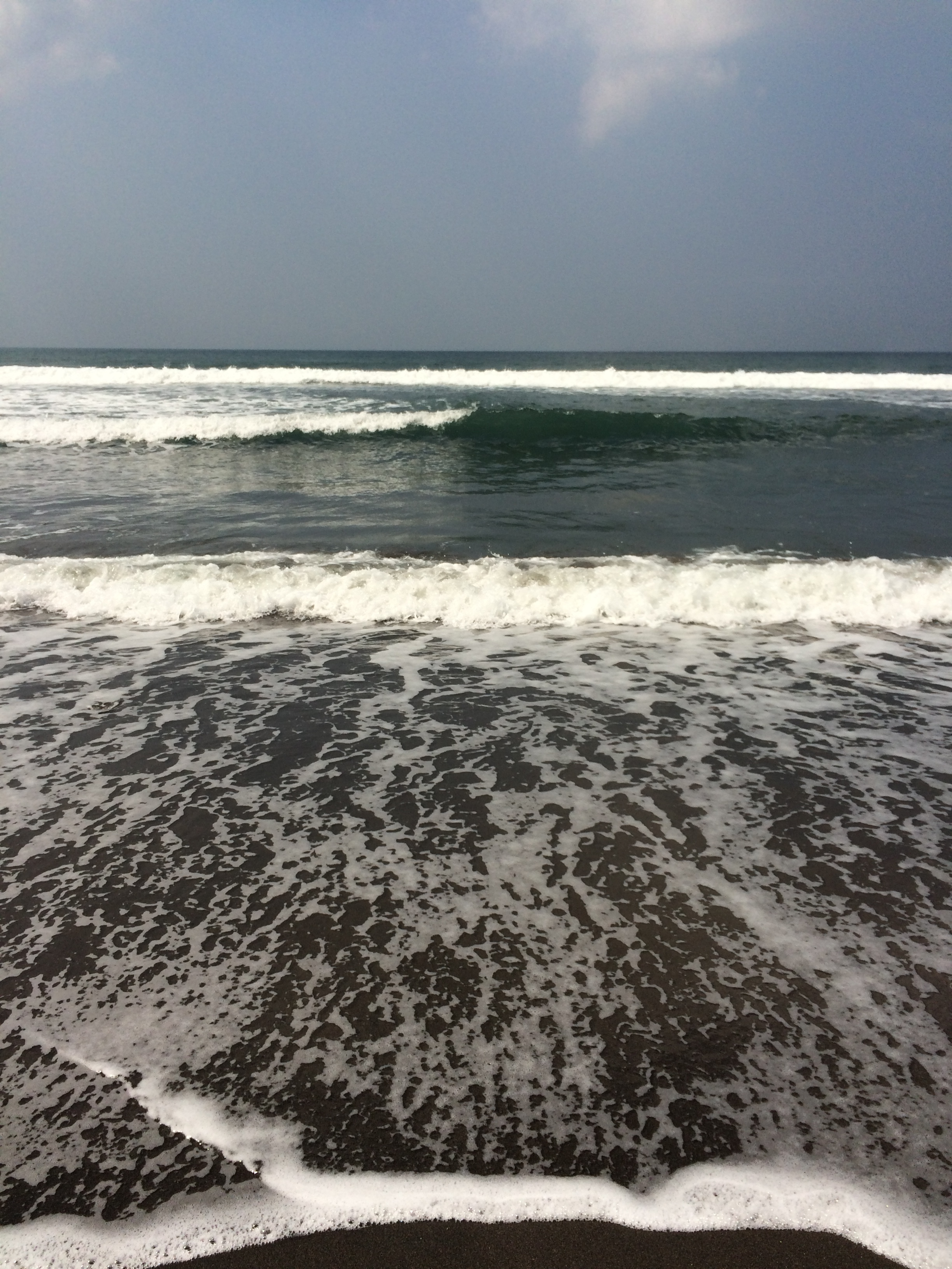  Day 1: Sea Greetings