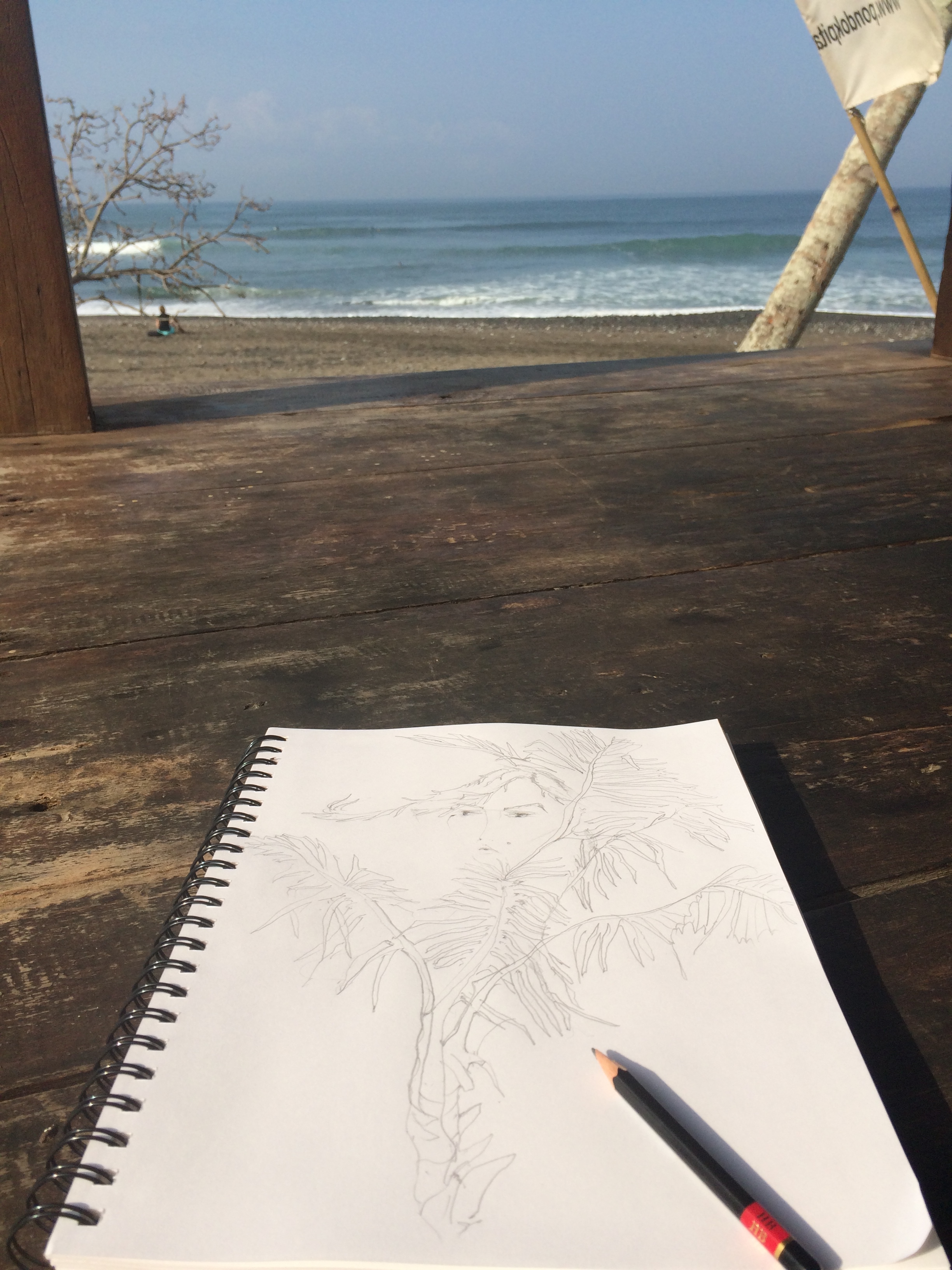  Day 1: Palm trees and surf gazing 